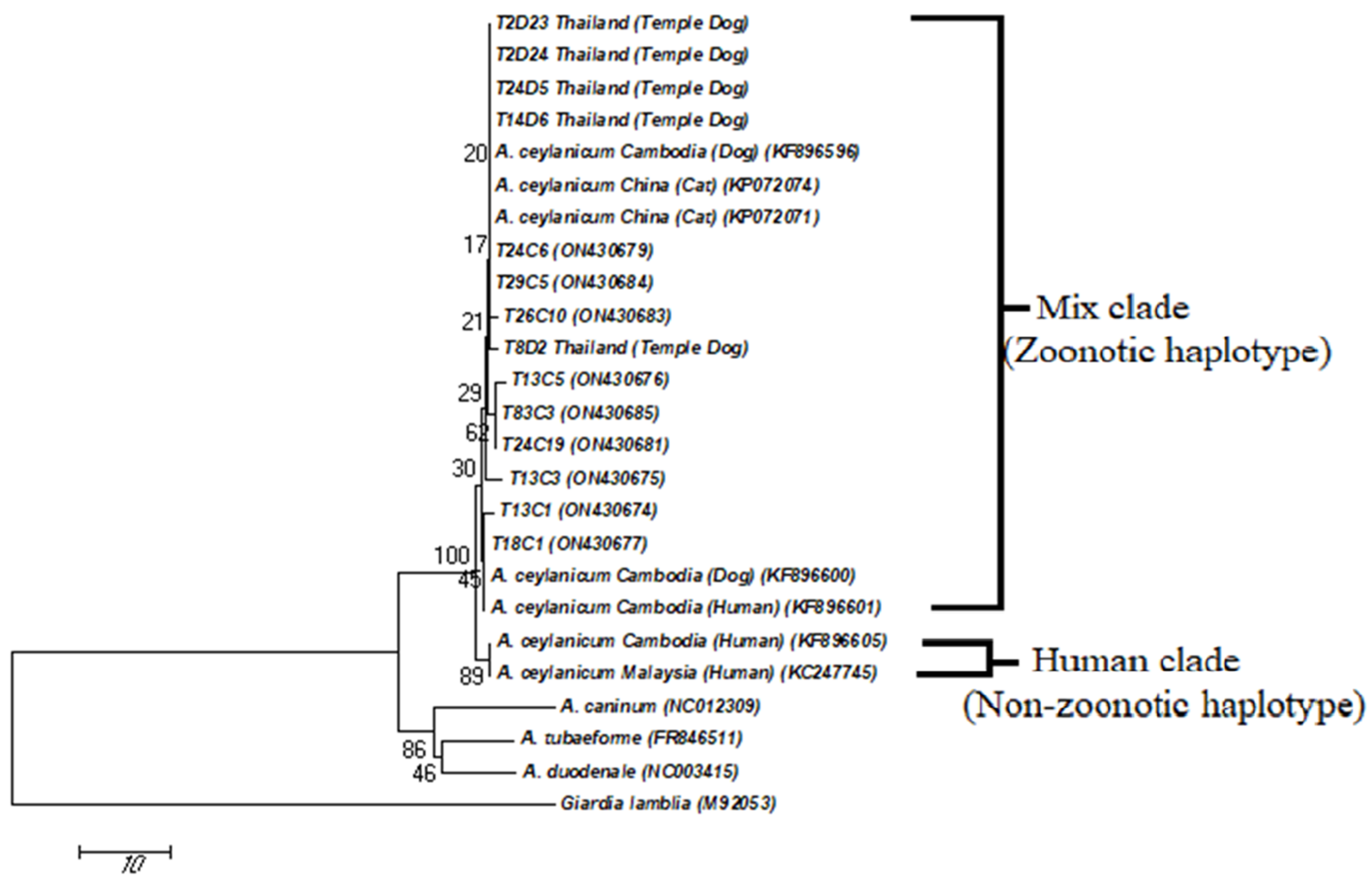 Tropicalmed 08 00122 g002 Tropicalmed 08 00122 g002