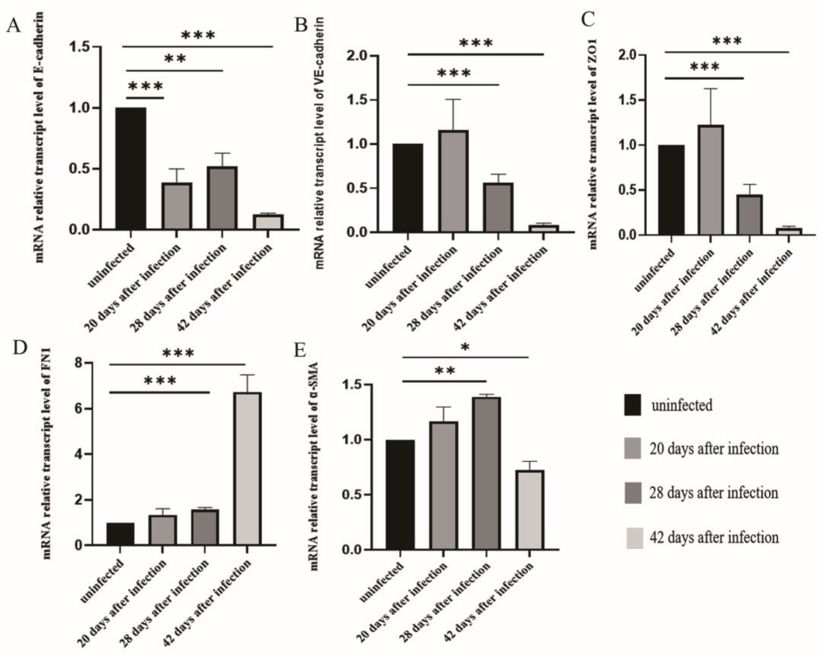 Tropicalmed 08 00124 g003