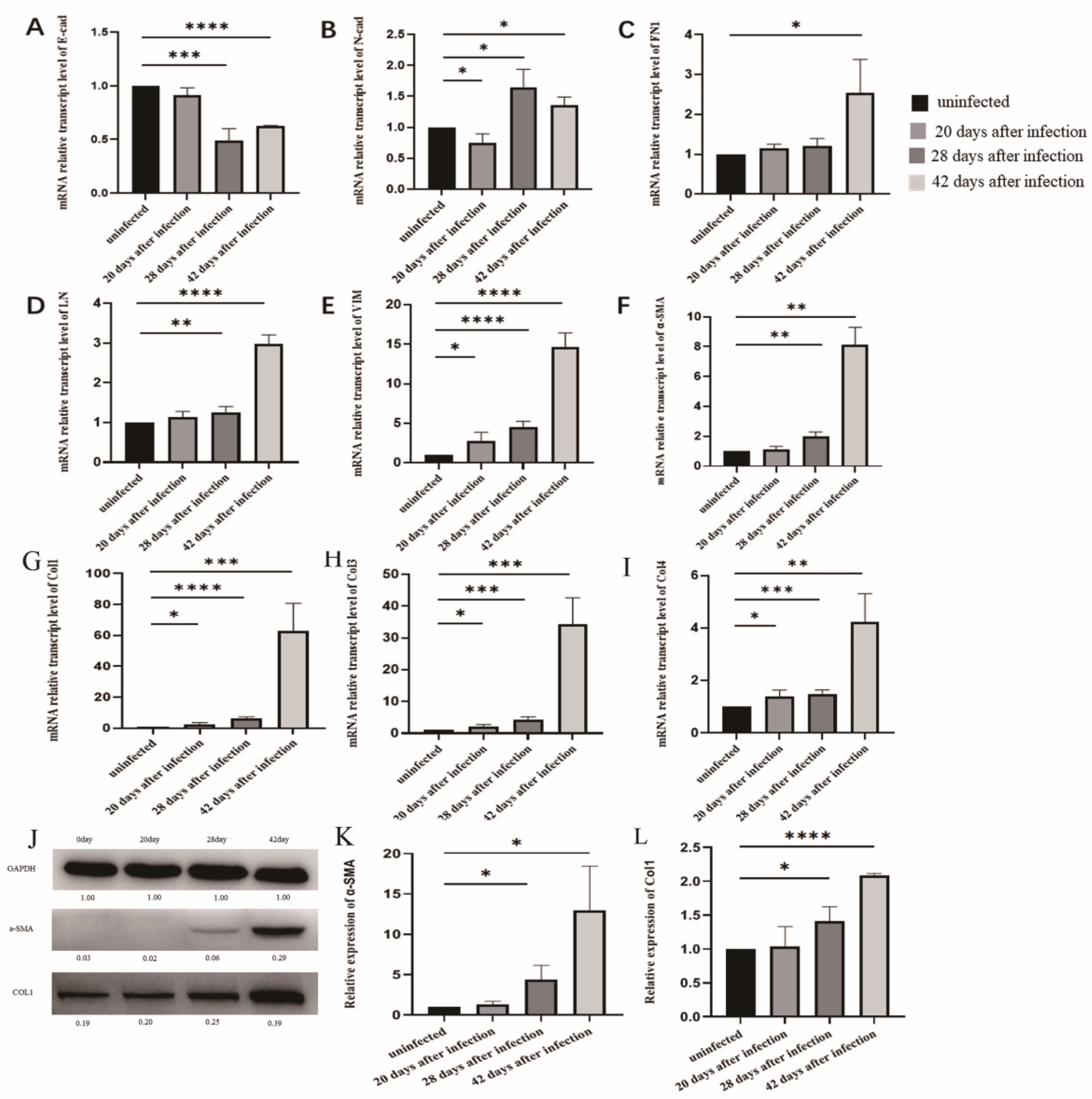 Tropicalmed 08 00124 g004