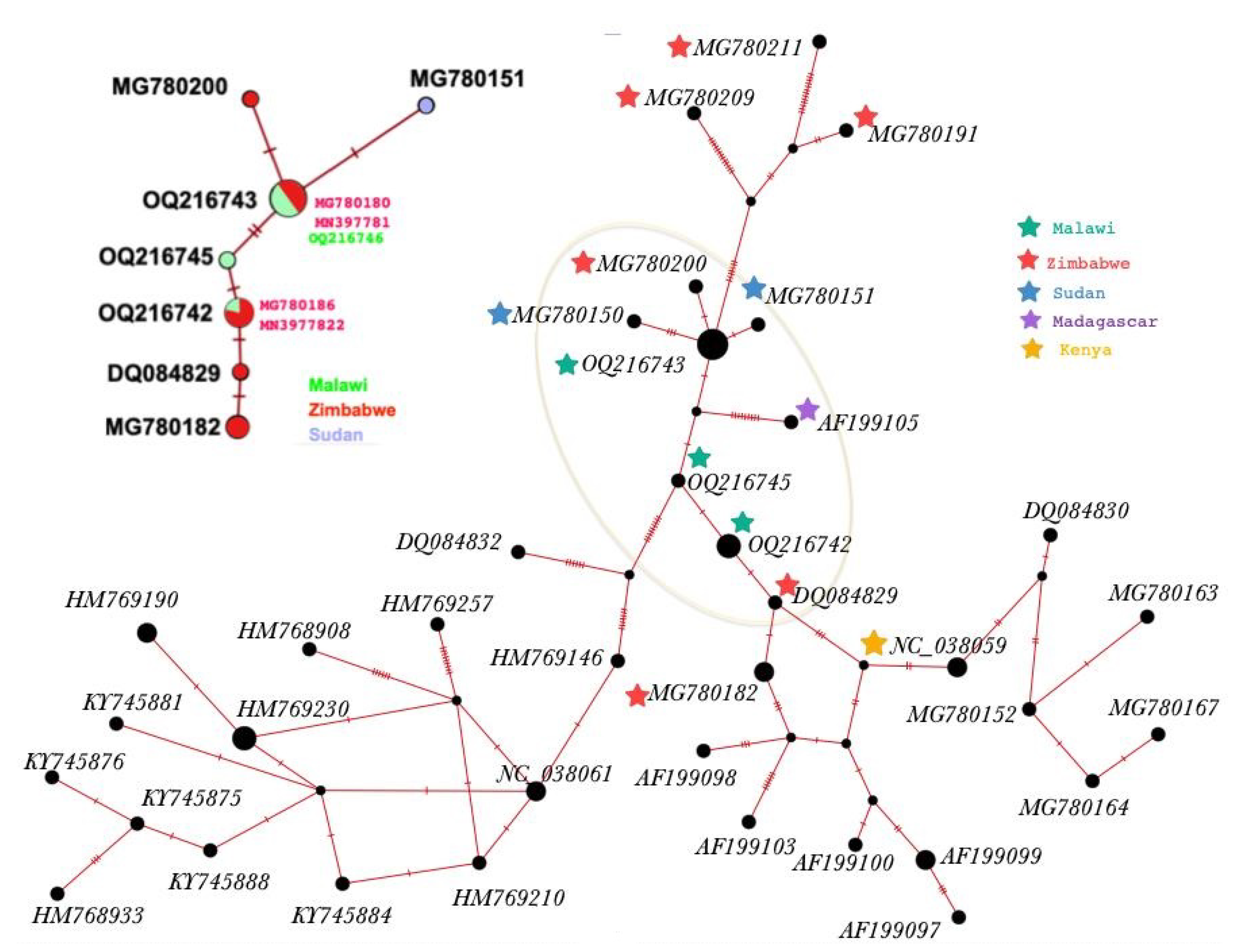 Tropicalmed 08 00126 g003 Tropicalmed 08 00126 g003