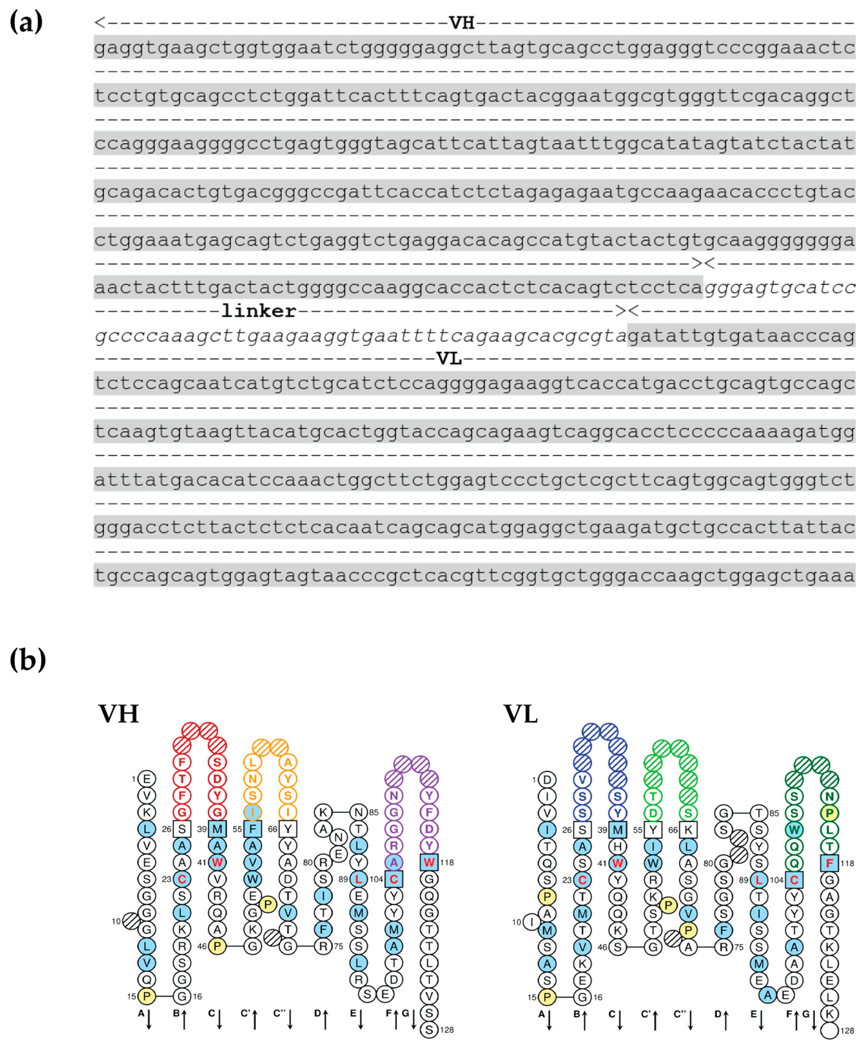 Tropicalmed 08 00160 g002 Tropicalmed 08 00160 g002