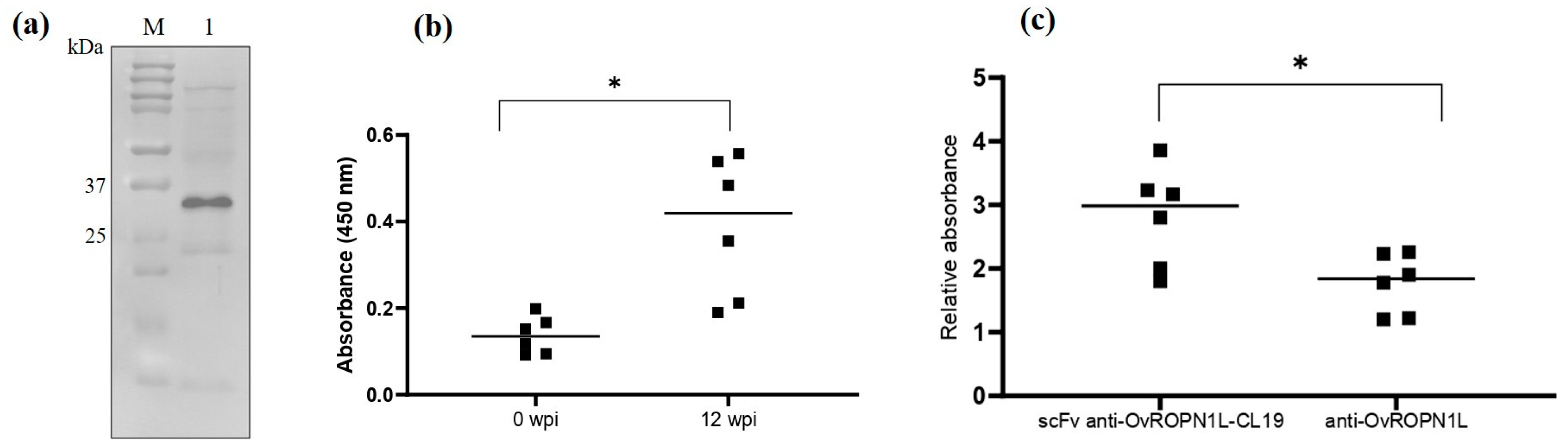 Tropicalmed 08 00160 g003 Tropicalmed 08 00160 g003