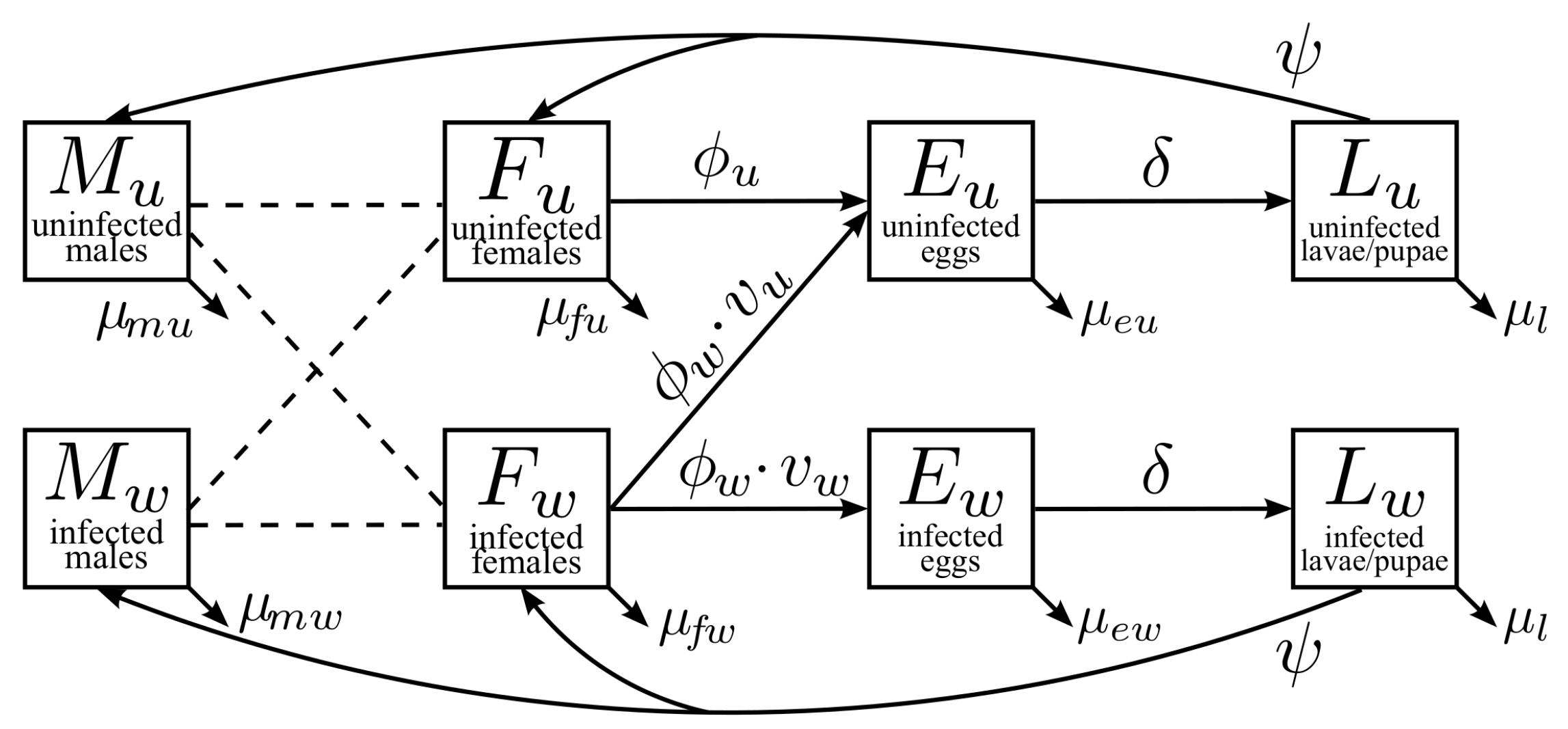 Tropicalmed 08 00162 g001 Tropicalmed 08 00162 g001