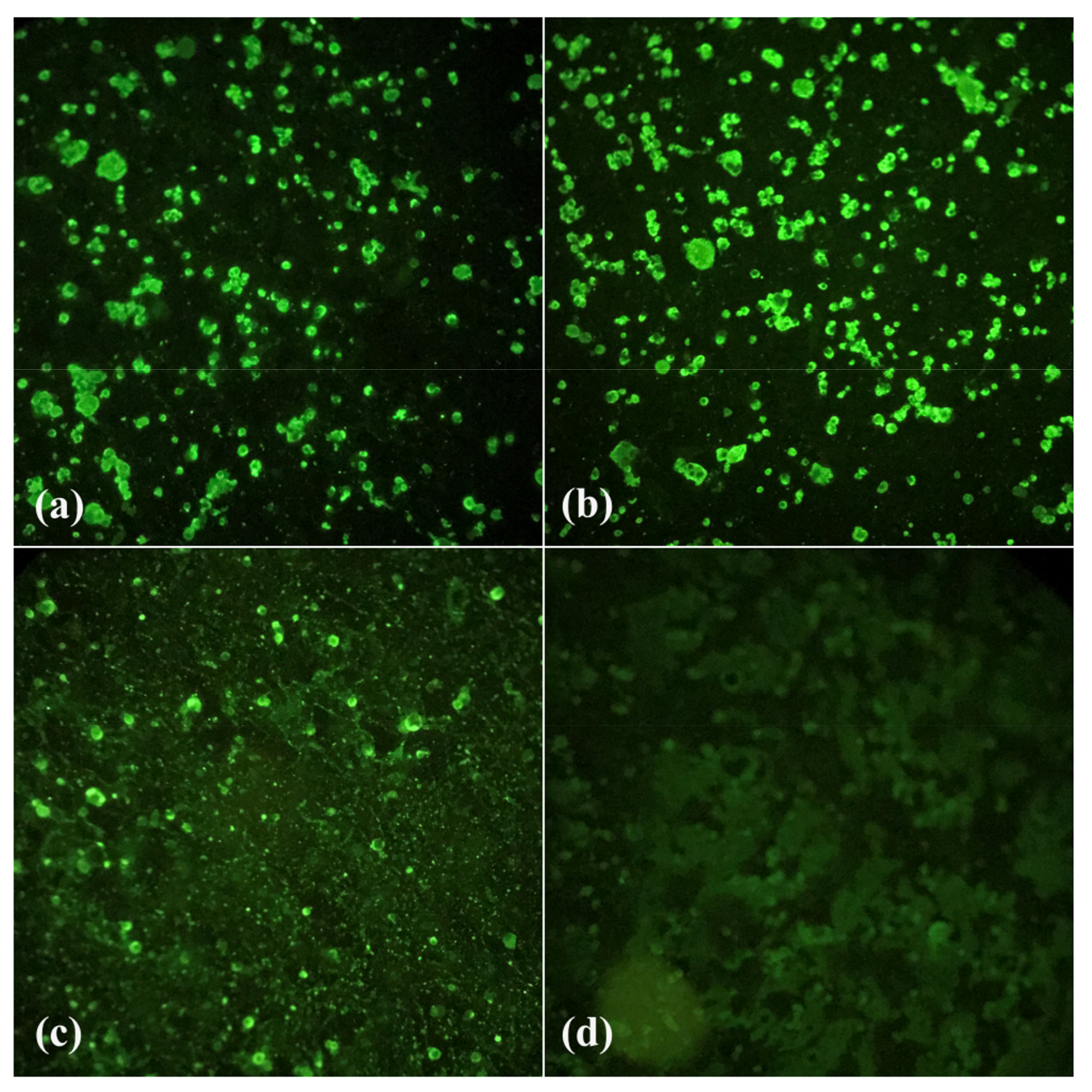 Tropicalmed 08 00217 g002