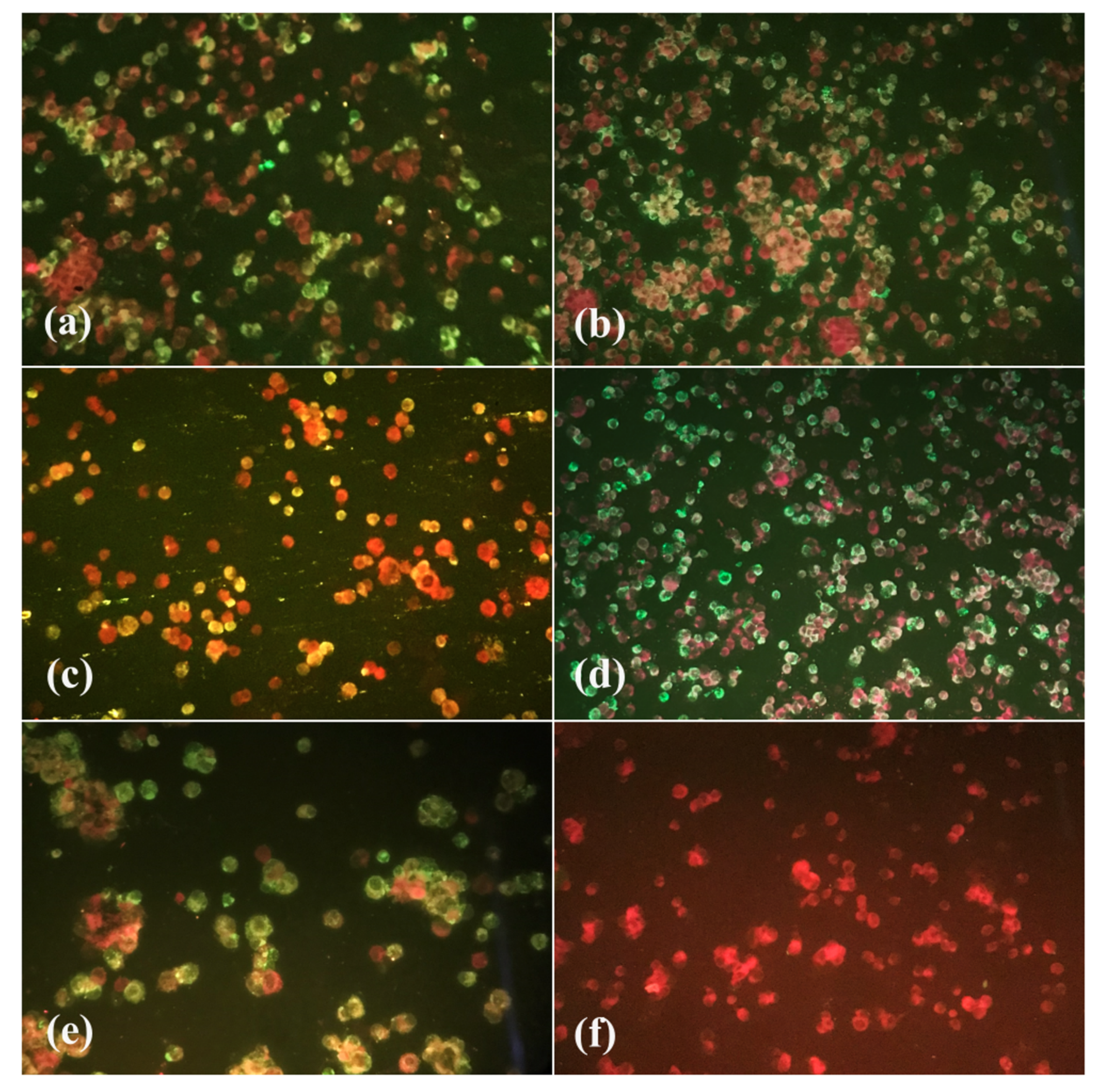 Tropicalmed 08 00217 g003