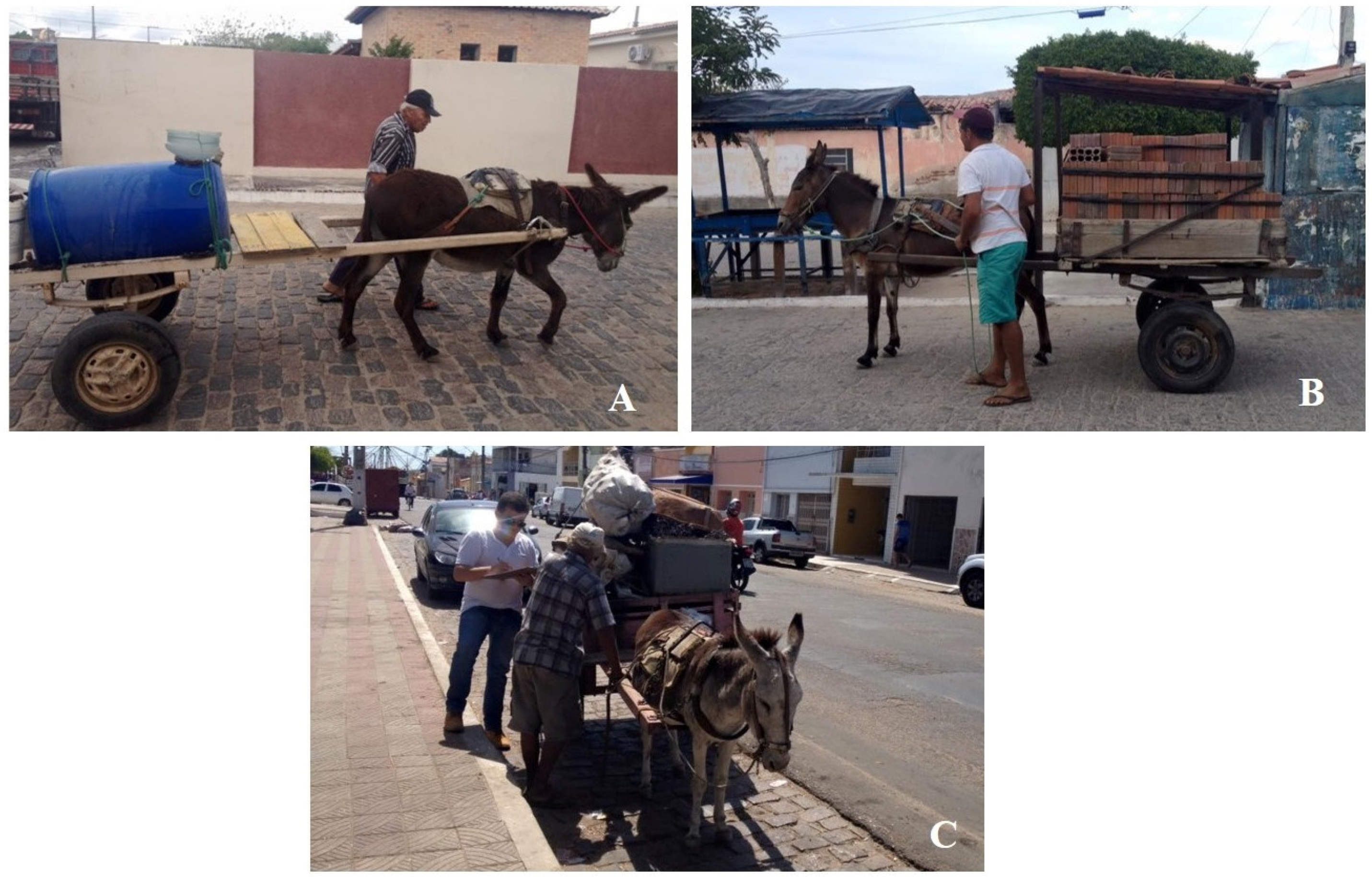 Tropicalmed 08 00234 g002