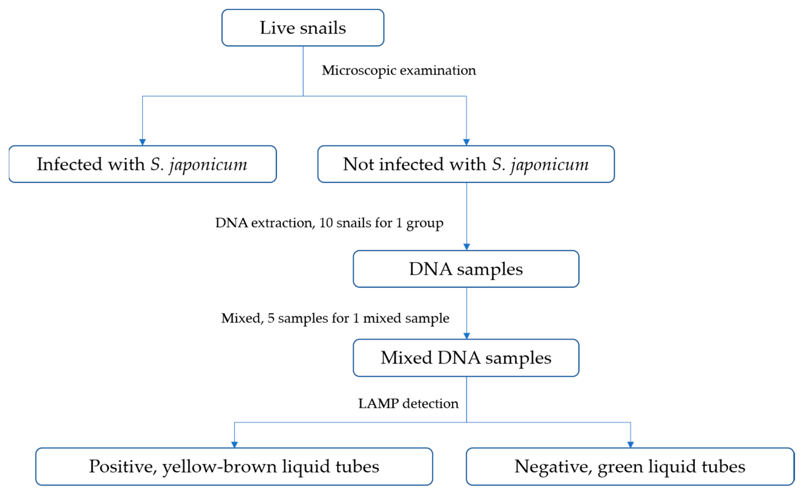 Tropicalmed 08 00242 g001