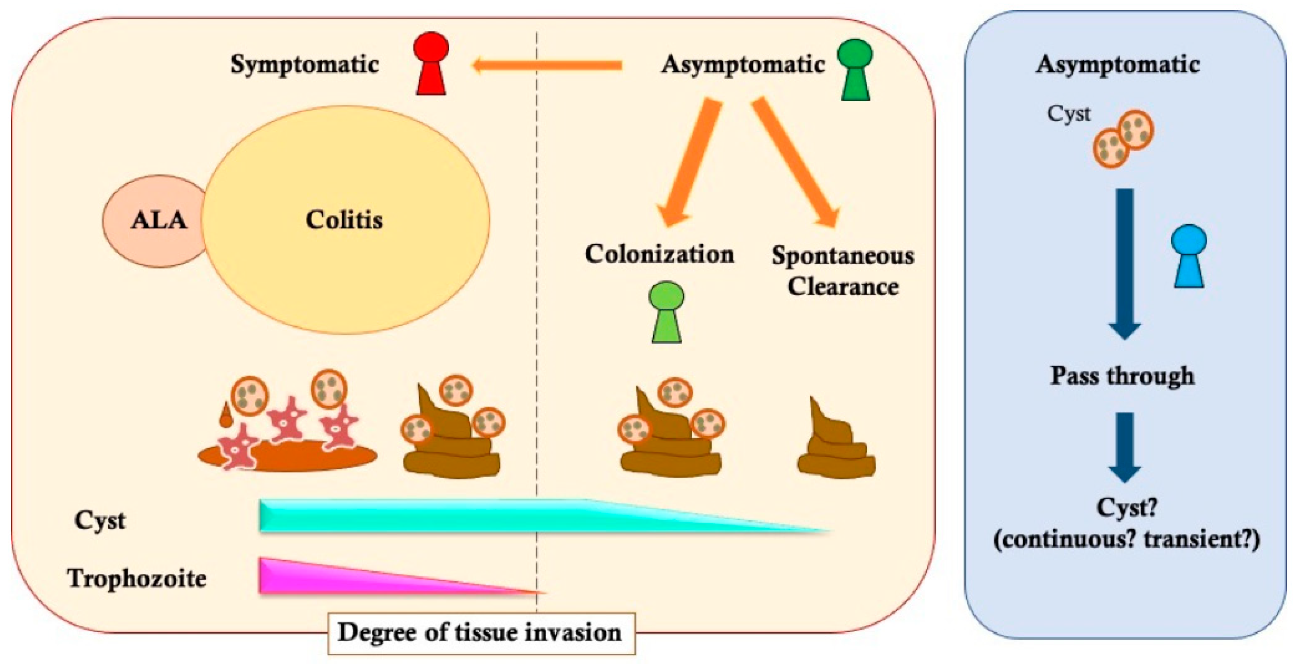Tropicalmed 08 00255 g001 Tropicalmed 08 00255 g001