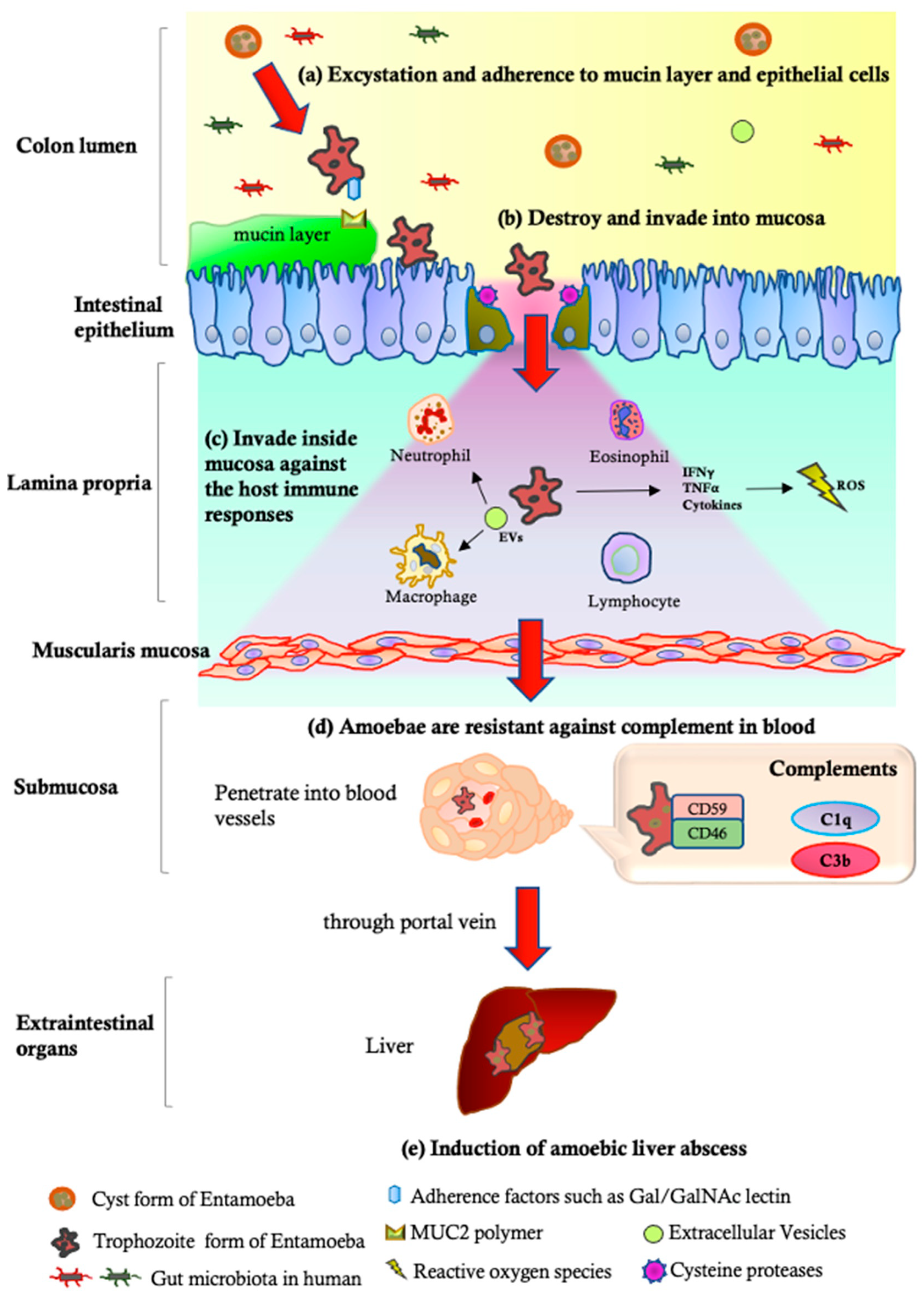Tropicalmed 08 00255 g002 Tropicalmed 08 00255 g002