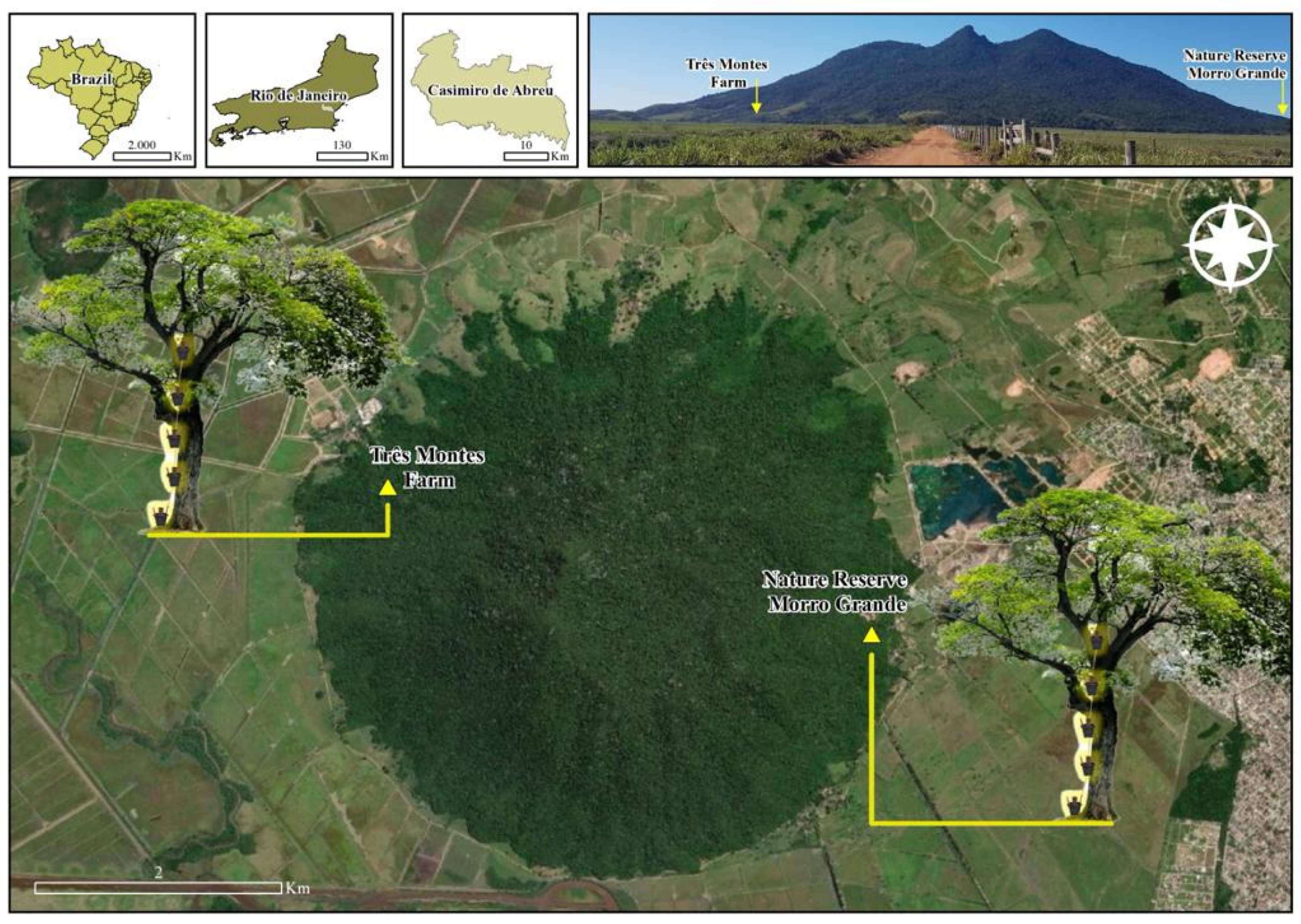 Tropicalmed 08 00256 g001 Tropicalmed 08 00256 g001