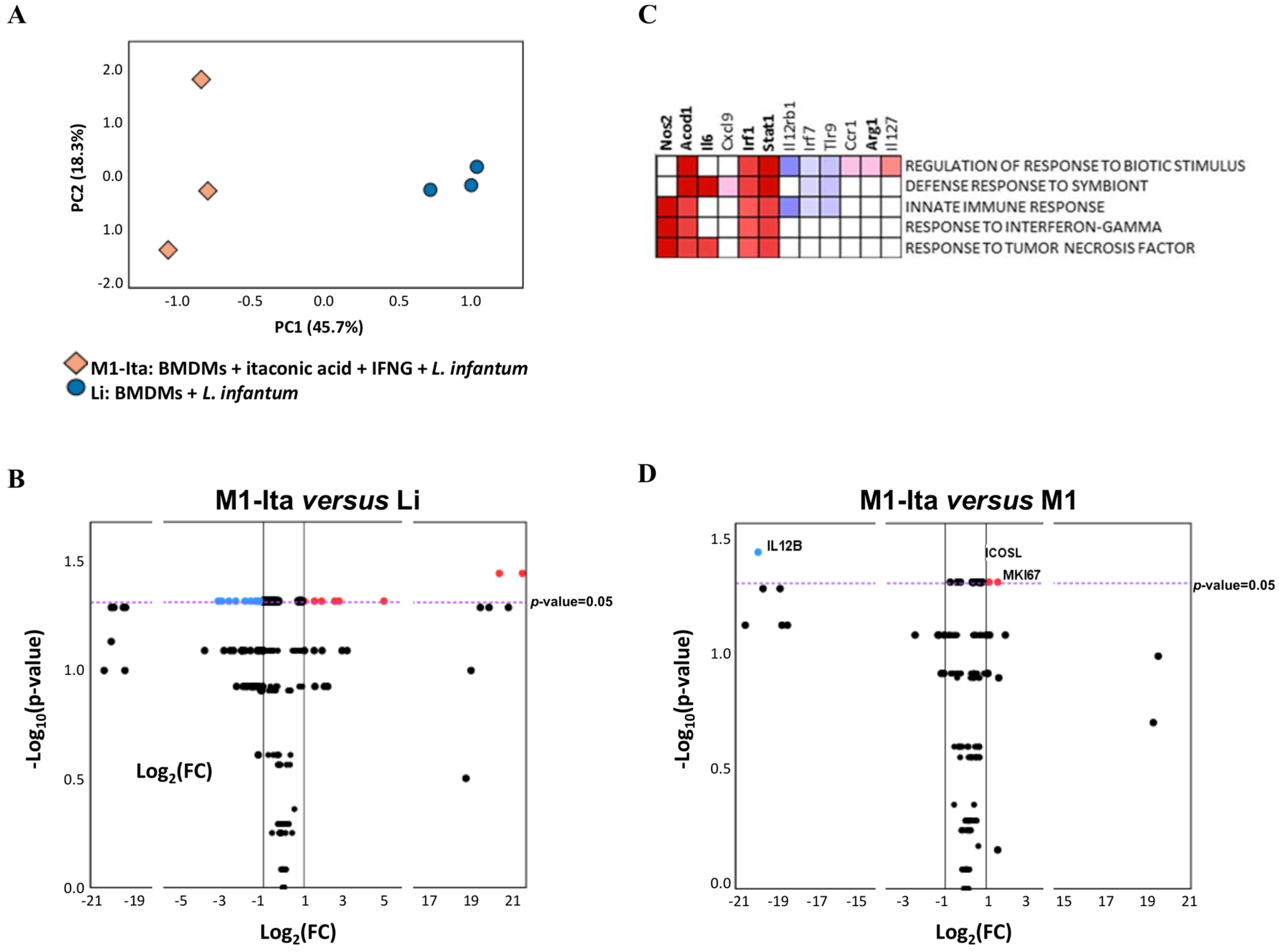 Tropicalmed 08 00264 g005