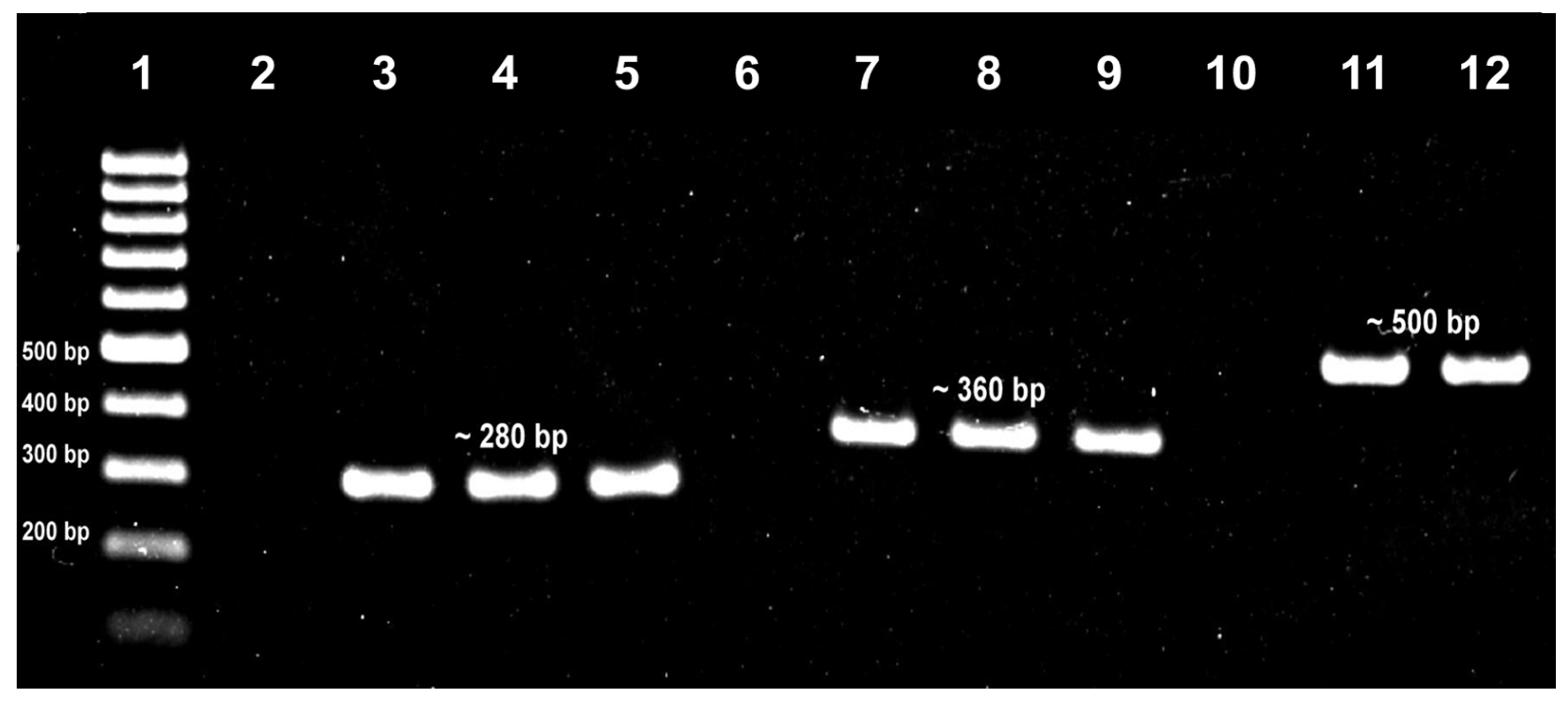 Tropicalmed 08 00269 g001 Tropicalmed 08 00269 g001