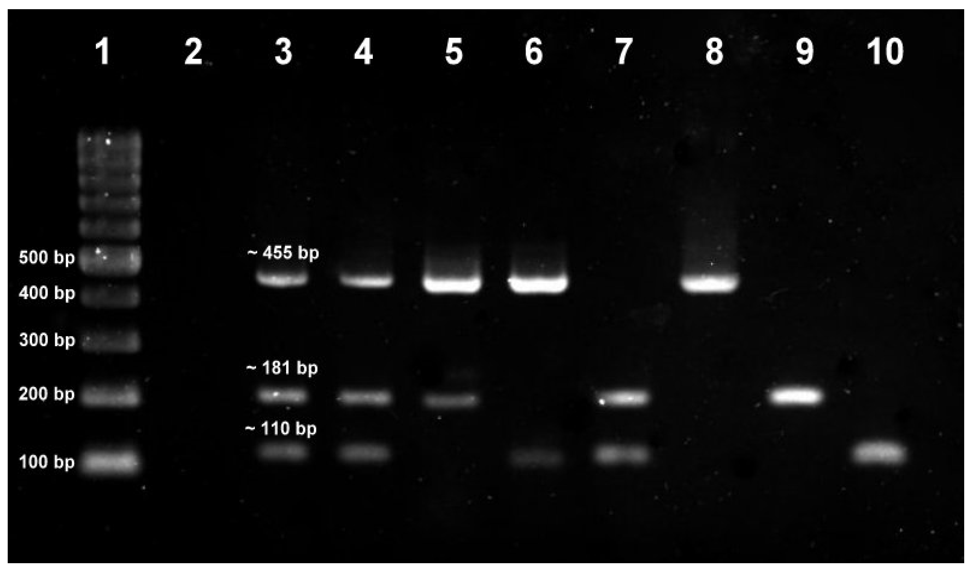 Tropicalmed 08 00269 g002 Tropicalmed 08 00269 g002