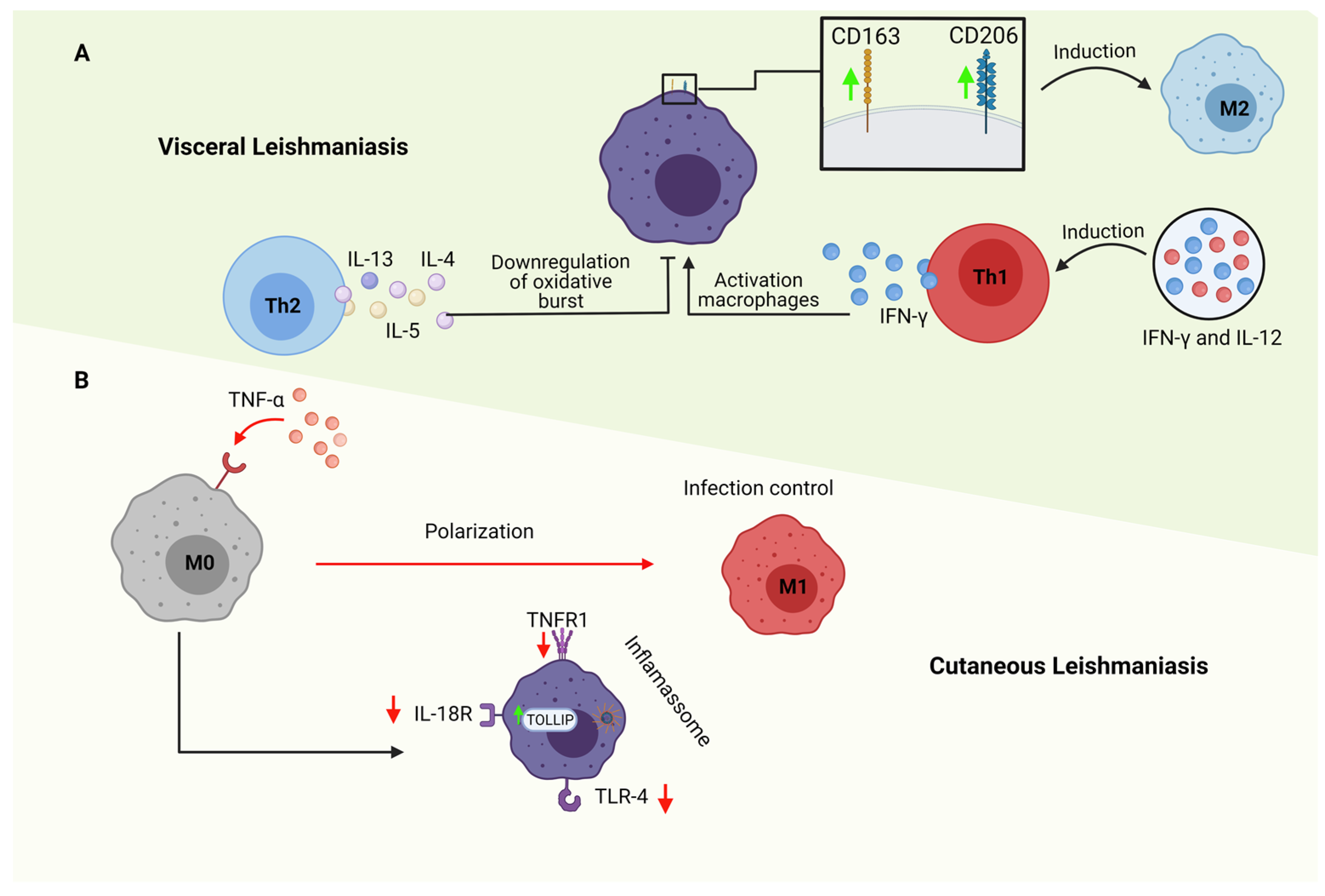Tropicalmed 08 00276 g002 Tropicalmed 08 00276 g002