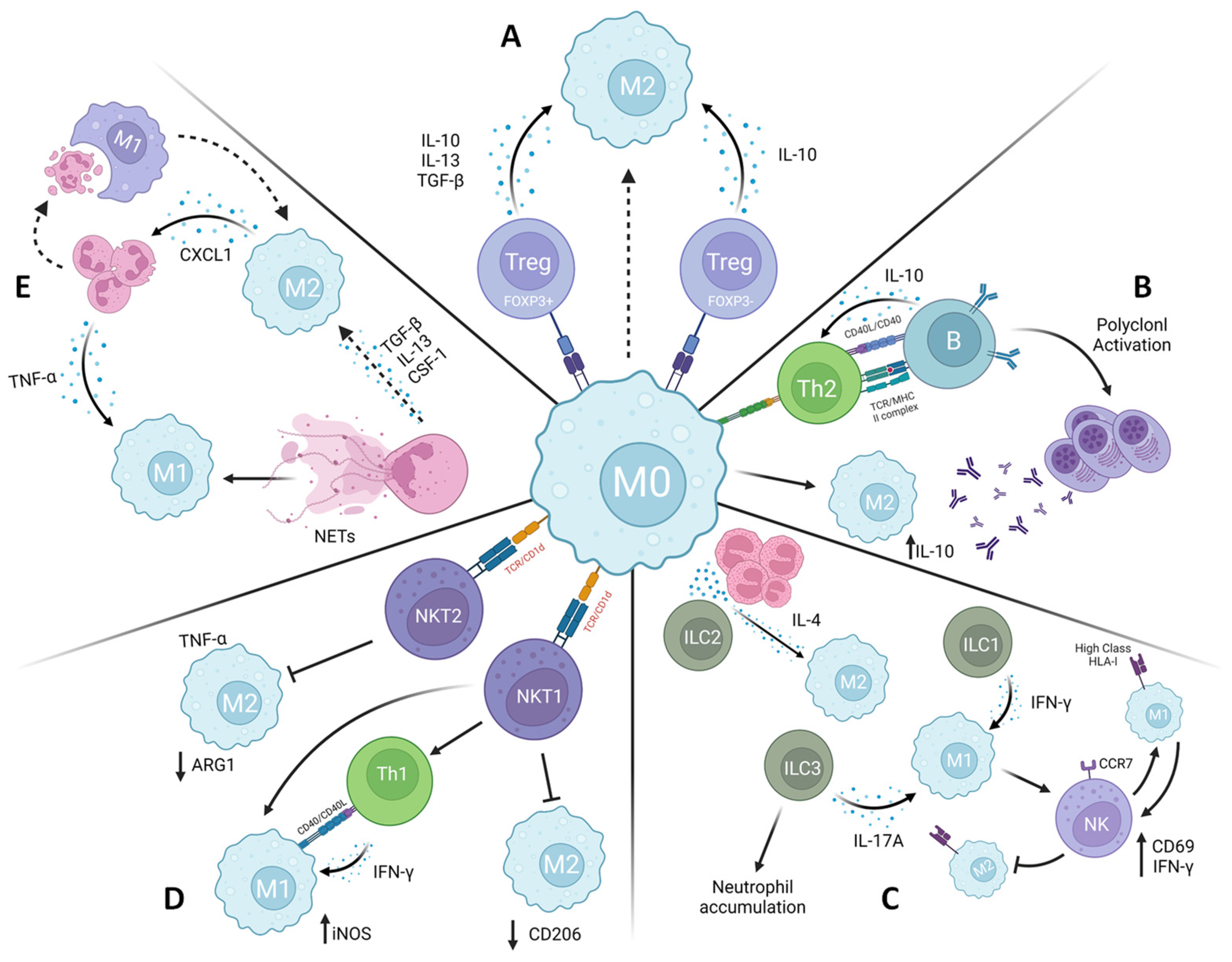 Tropicalmed 08 00276 g003 Tropicalmed 08 00276 g003
