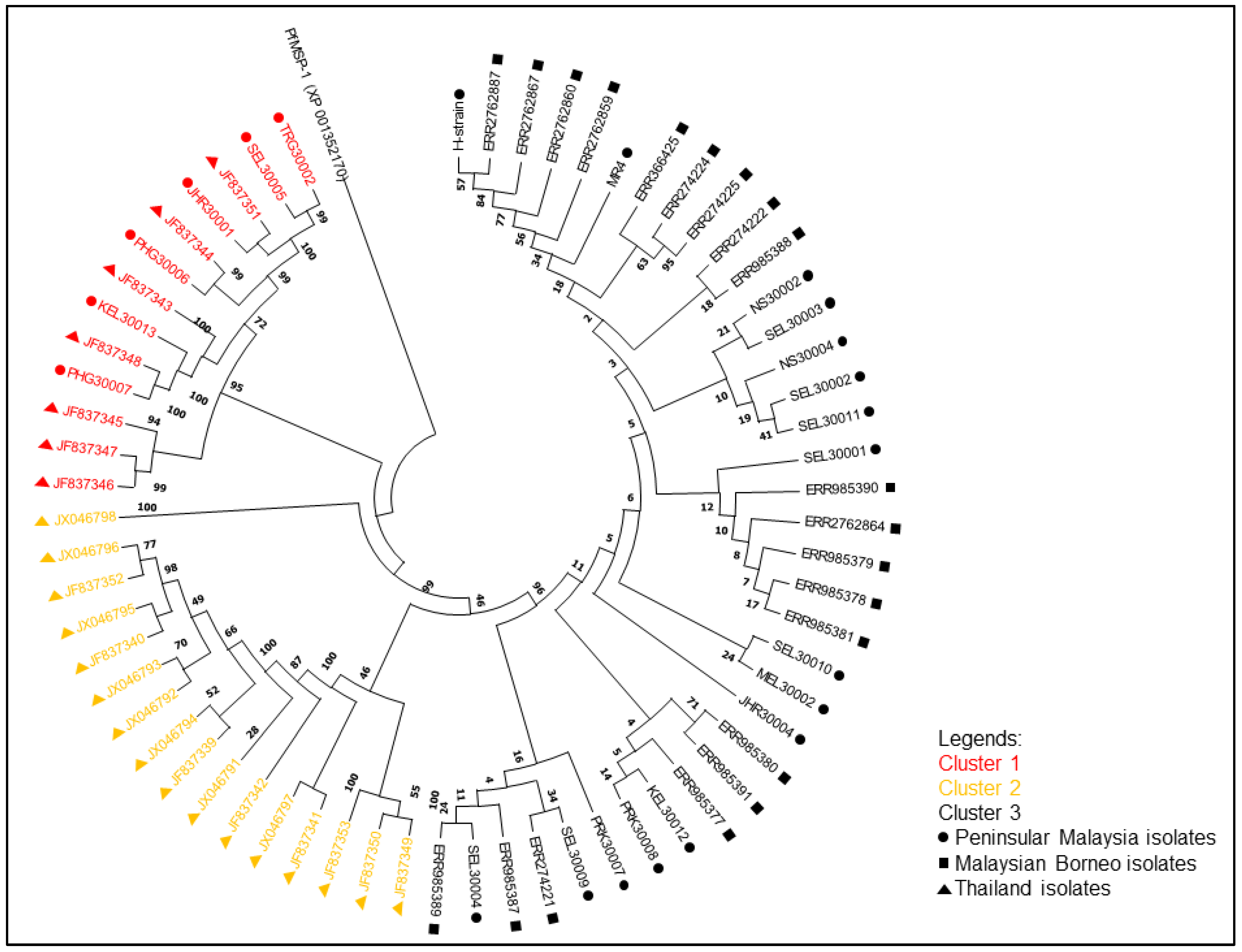 Tropicalmed 08 00285 g002 Tropicalmed 08 00285 g002