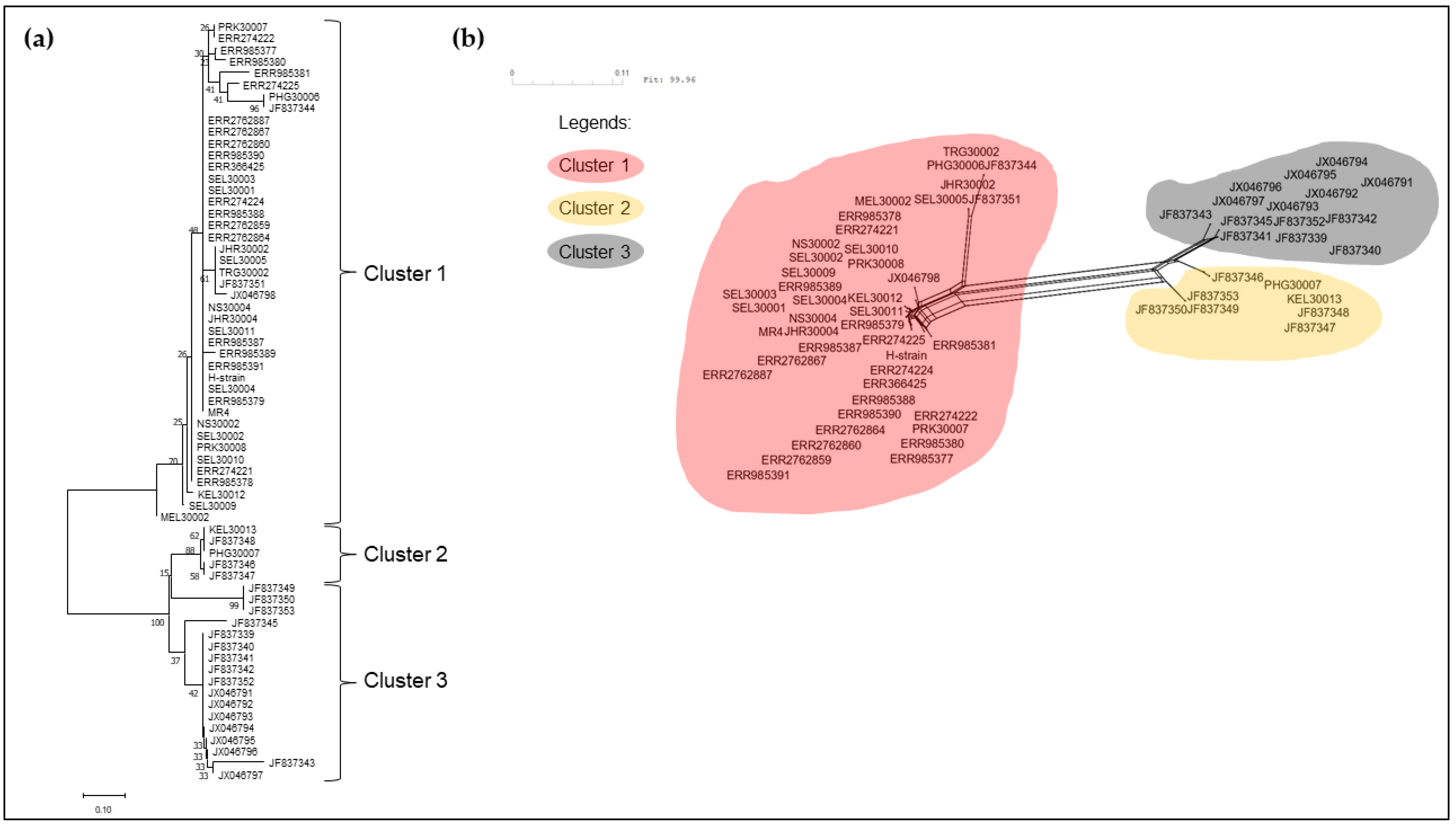 Tropicalmed 08 00285 g004 Tropicalmed 08 00285 g004