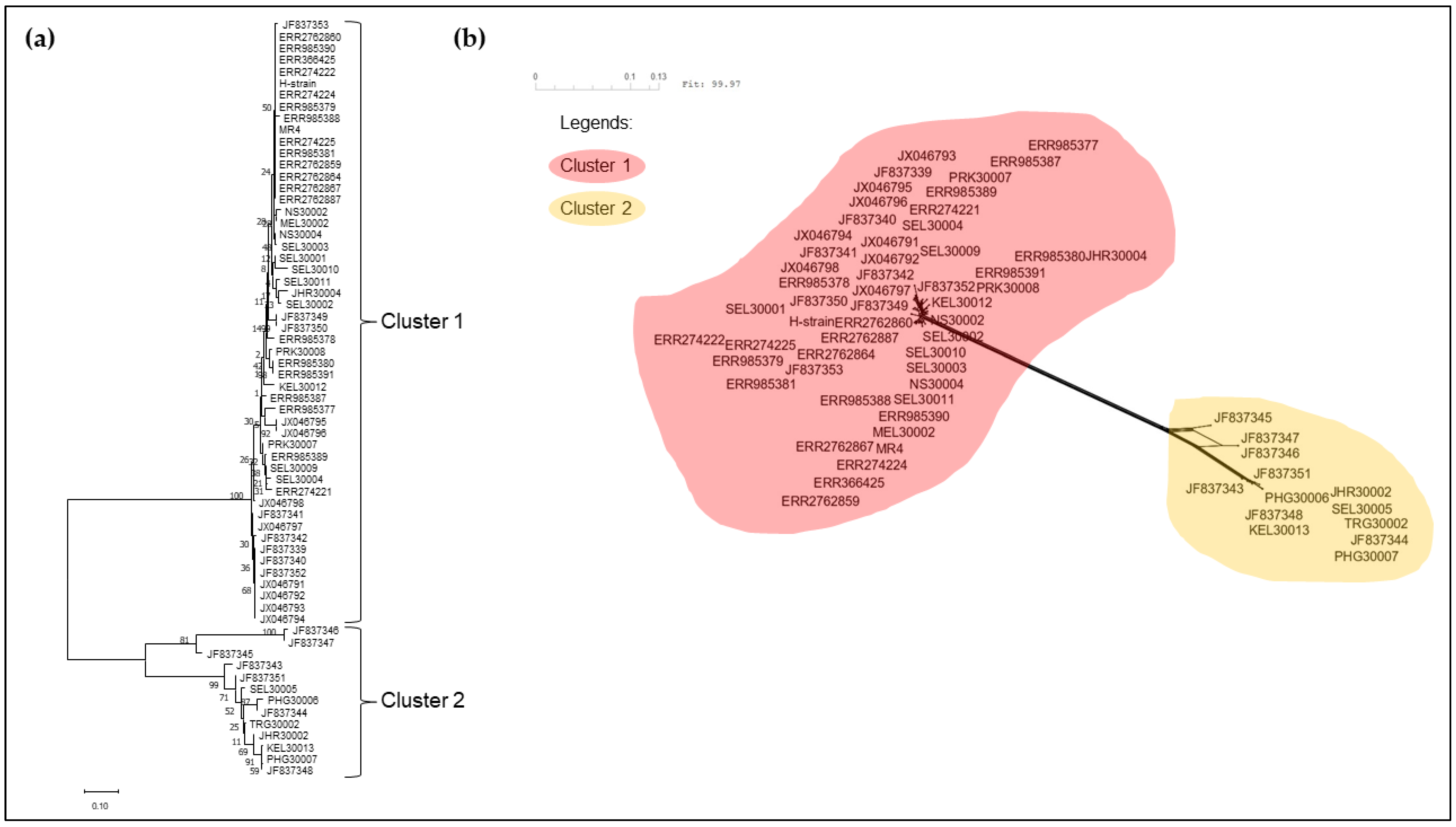 Tropicalmed 08 00285 g005 Tropicalmed 08 00285 g005