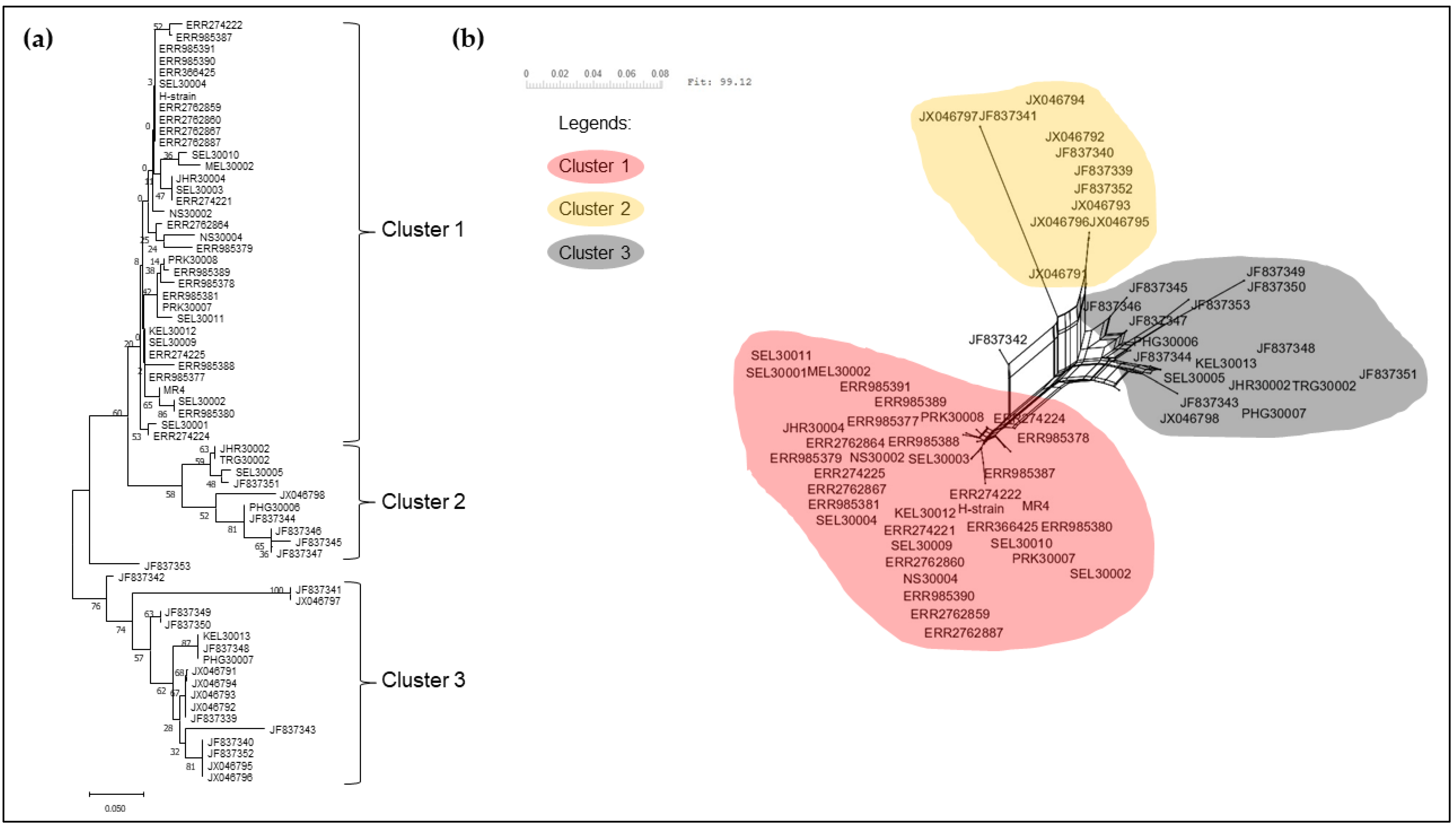 Tropicalmed 08 00285 g006 Tropicalmed 08 00285 g006
