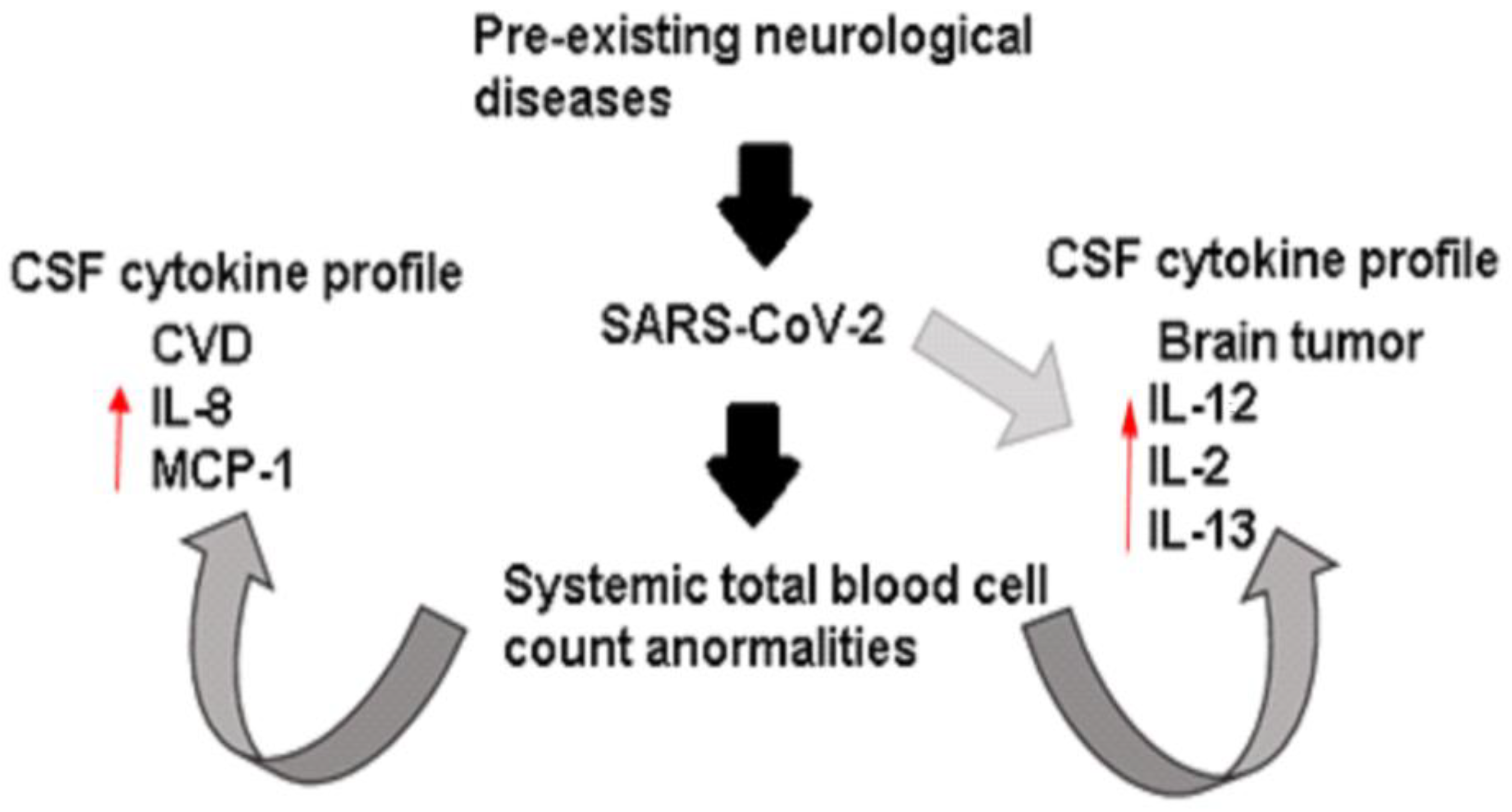 Tropicalmed 08 00290 g002
