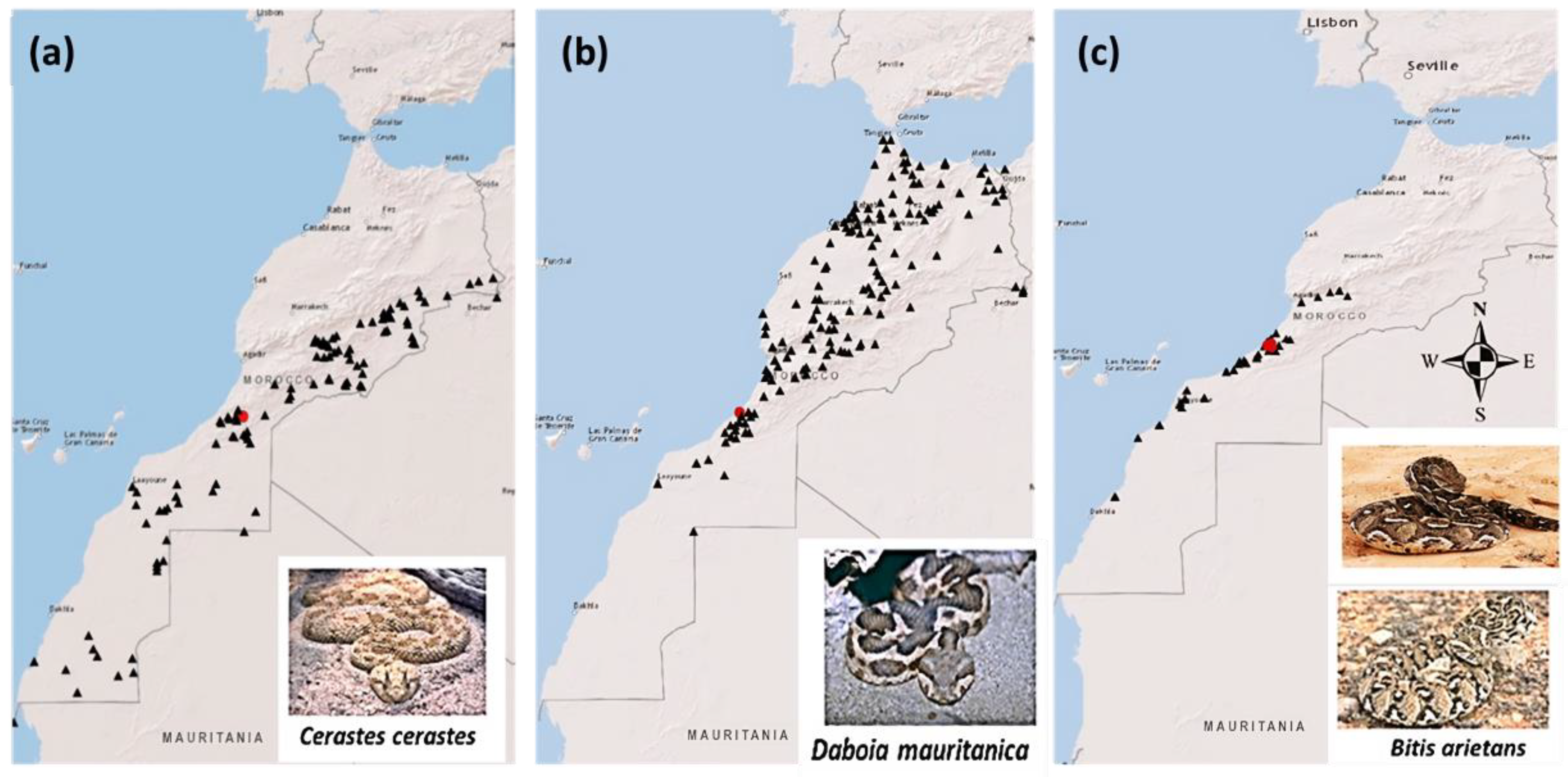 Tropicalmed 08 00302 g001 Tropicalmed 08 00302 g001