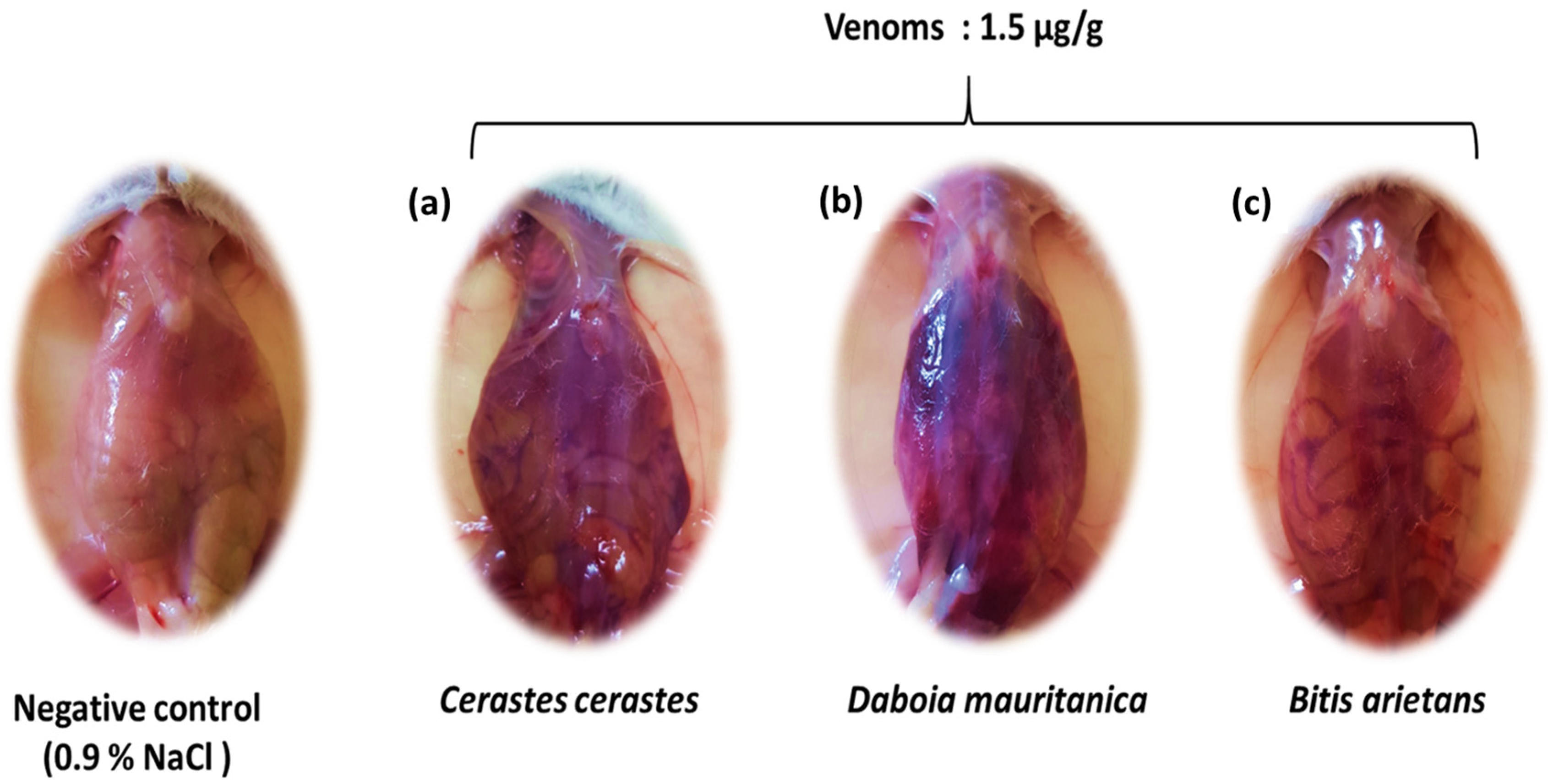 Tropicalmed 08 00302 g002 Tropicalmed 08 00302 g002