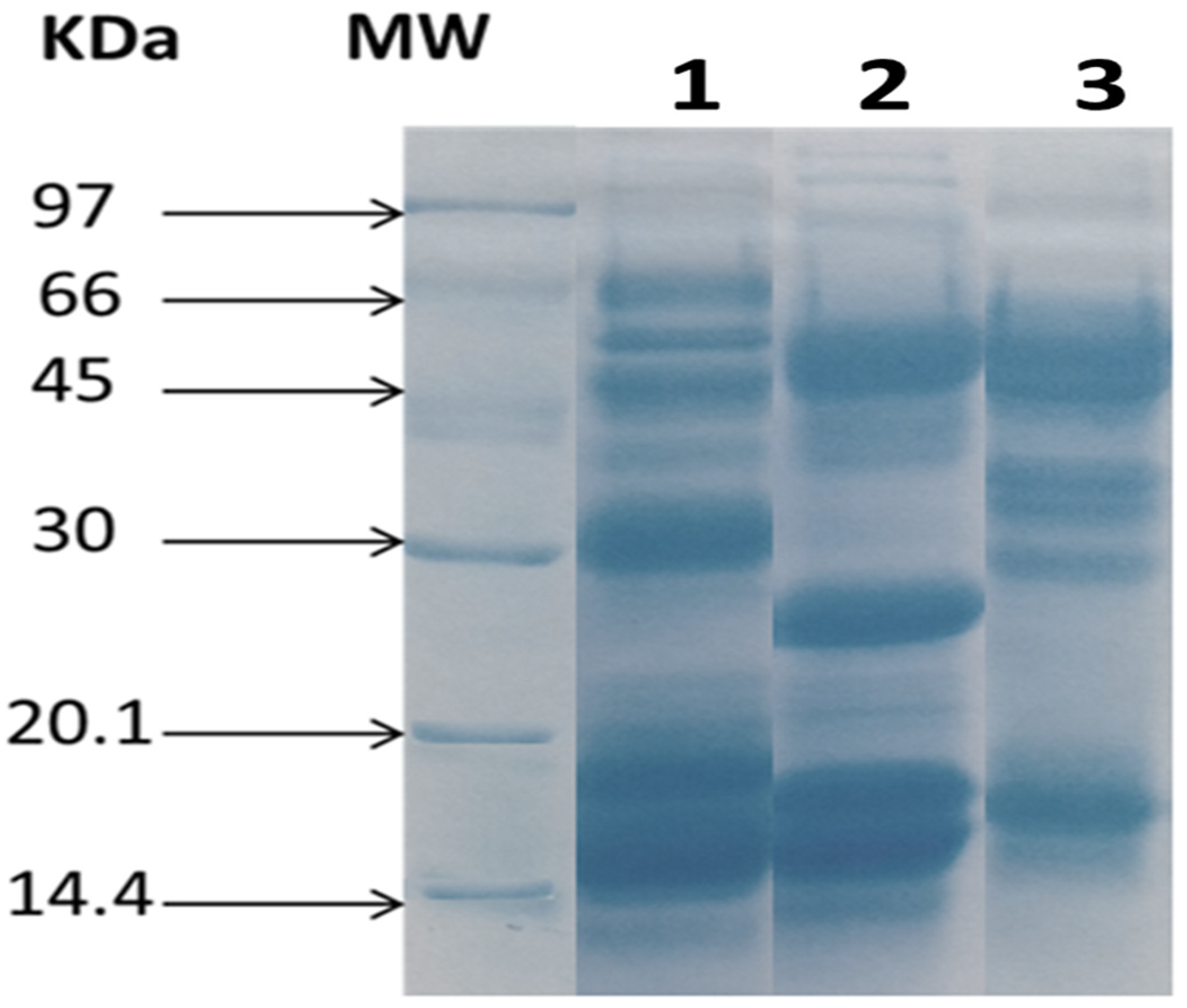Tropicalmed 08 00302 g003 Tropicalmed 08 00302 g003