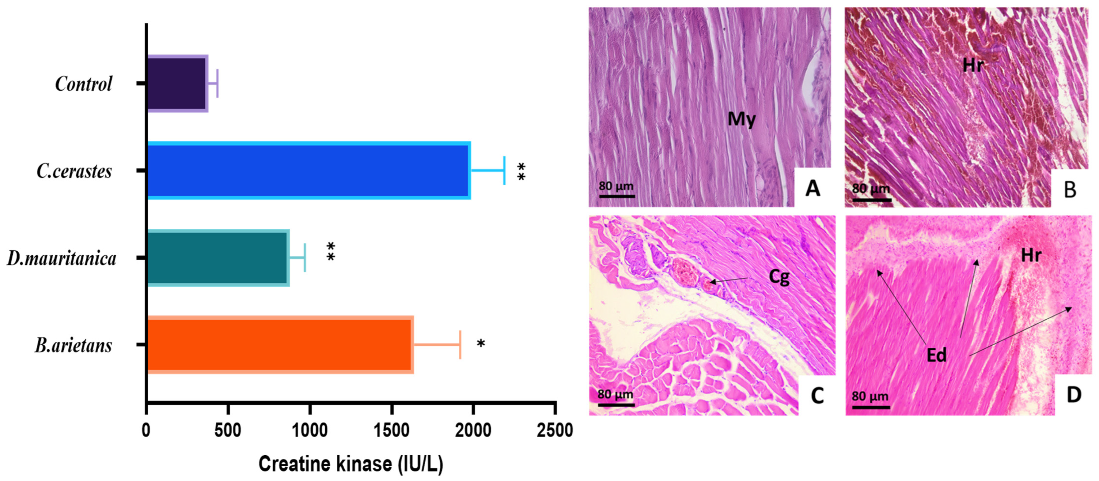 Tropicalmed 08 00302 g006 Tropicalmed 08 00302 g006