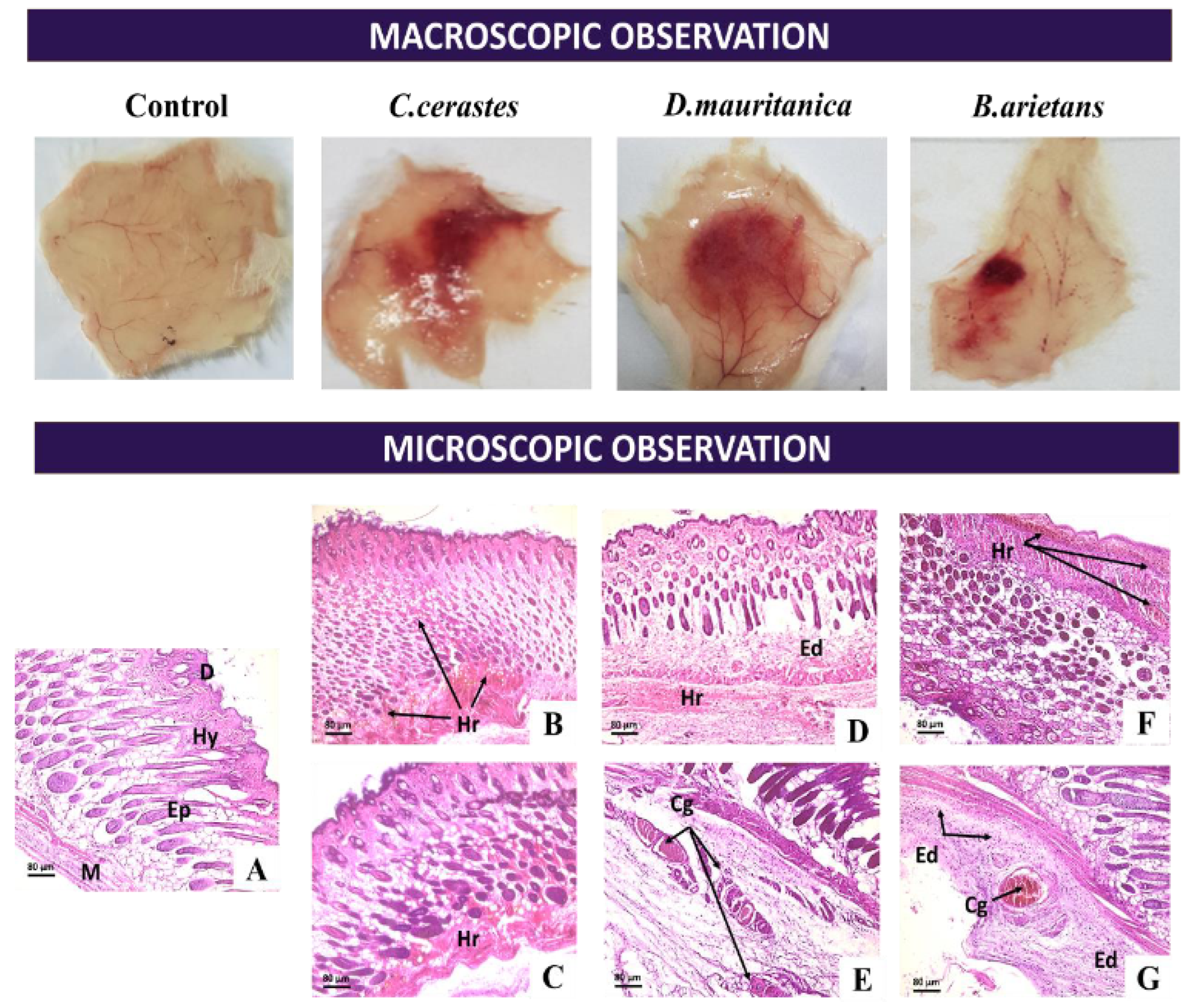 Tropicalmed 08 00302 g007 Tropicalmed 08 00302 g007