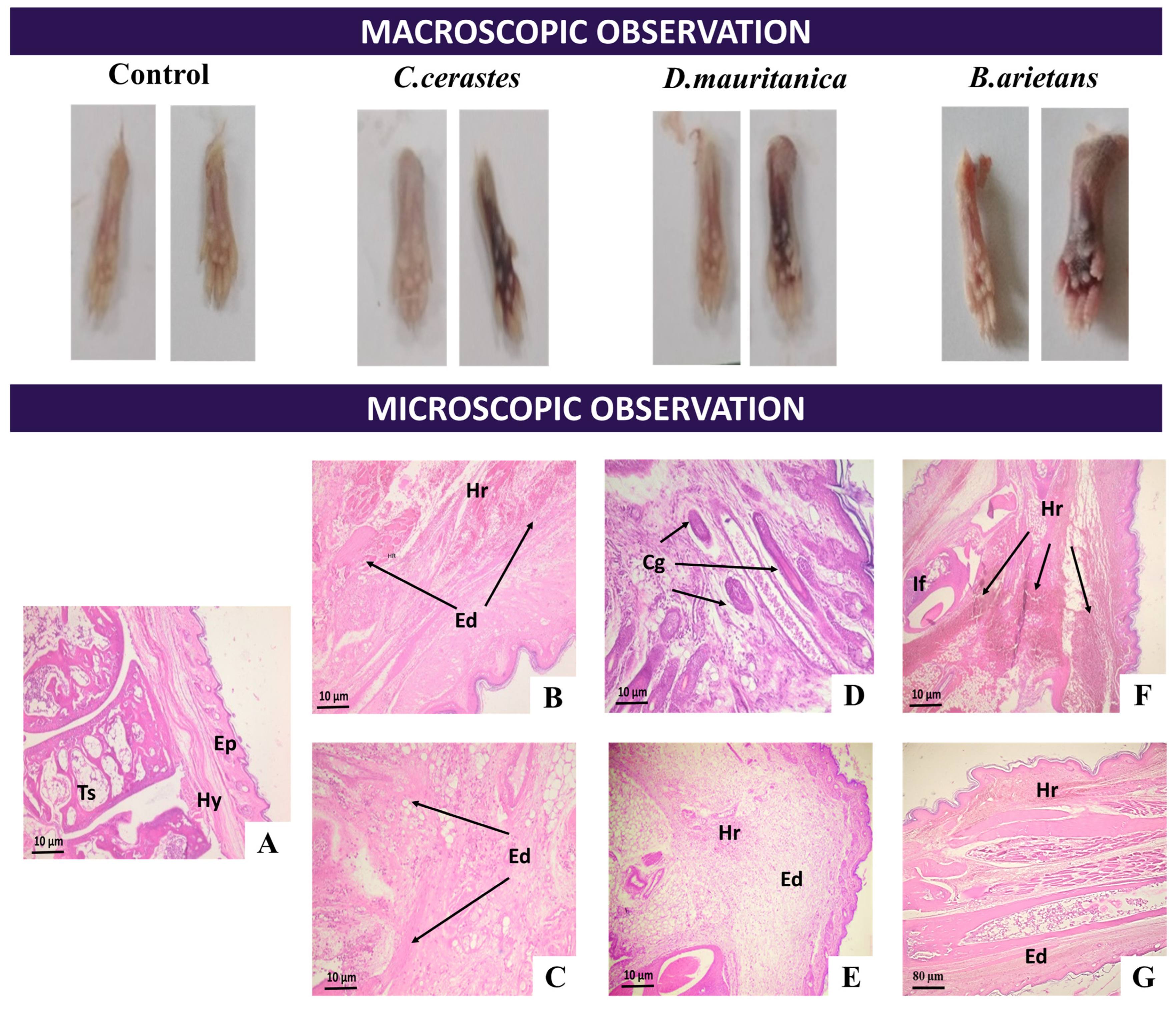 Tropicalmed 08 00302 g008 Tropicalmed 08 00302 g008