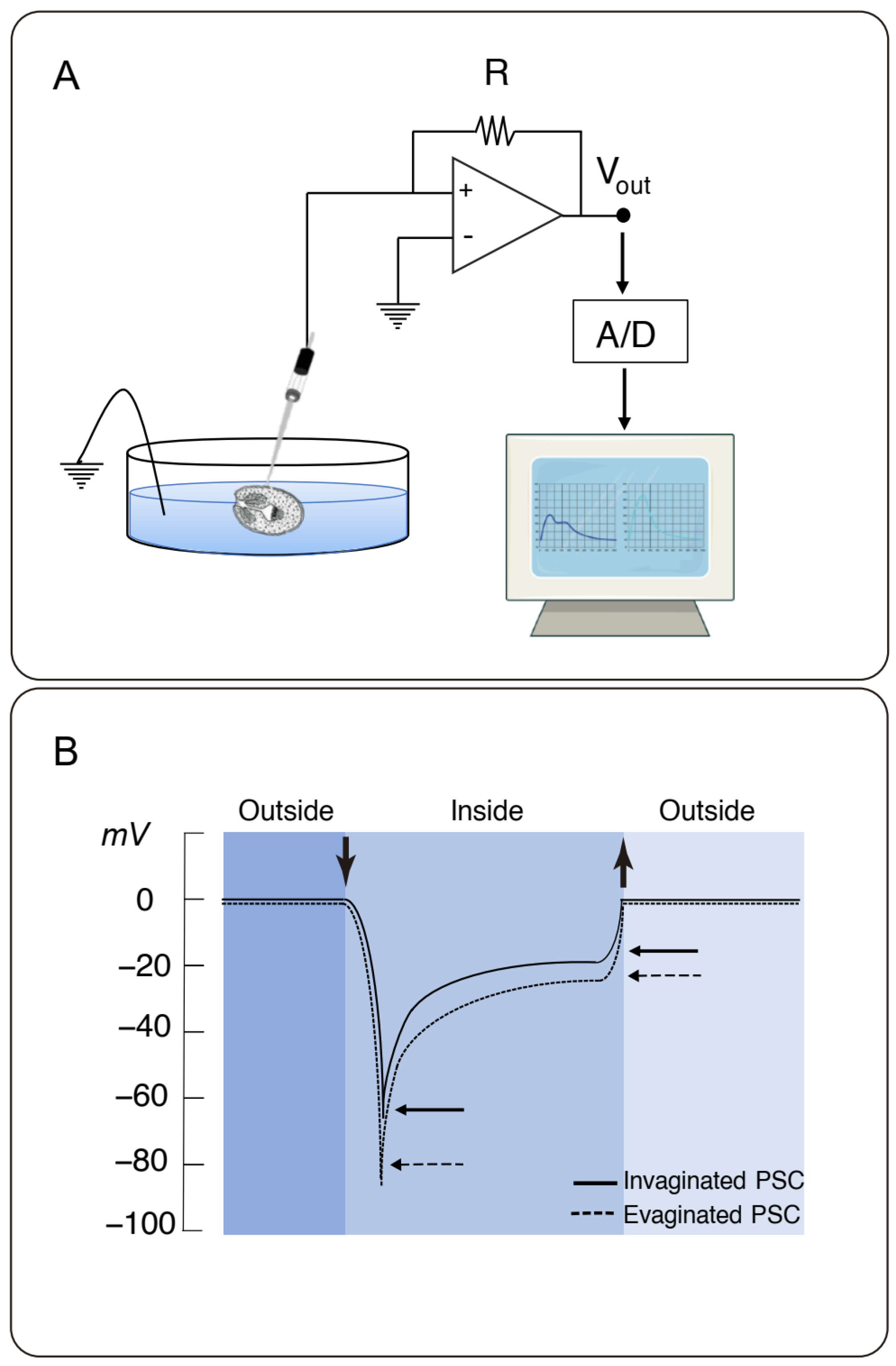 Tropicalmed 08 00303 g001 Tropicalmed 08 00303 g001