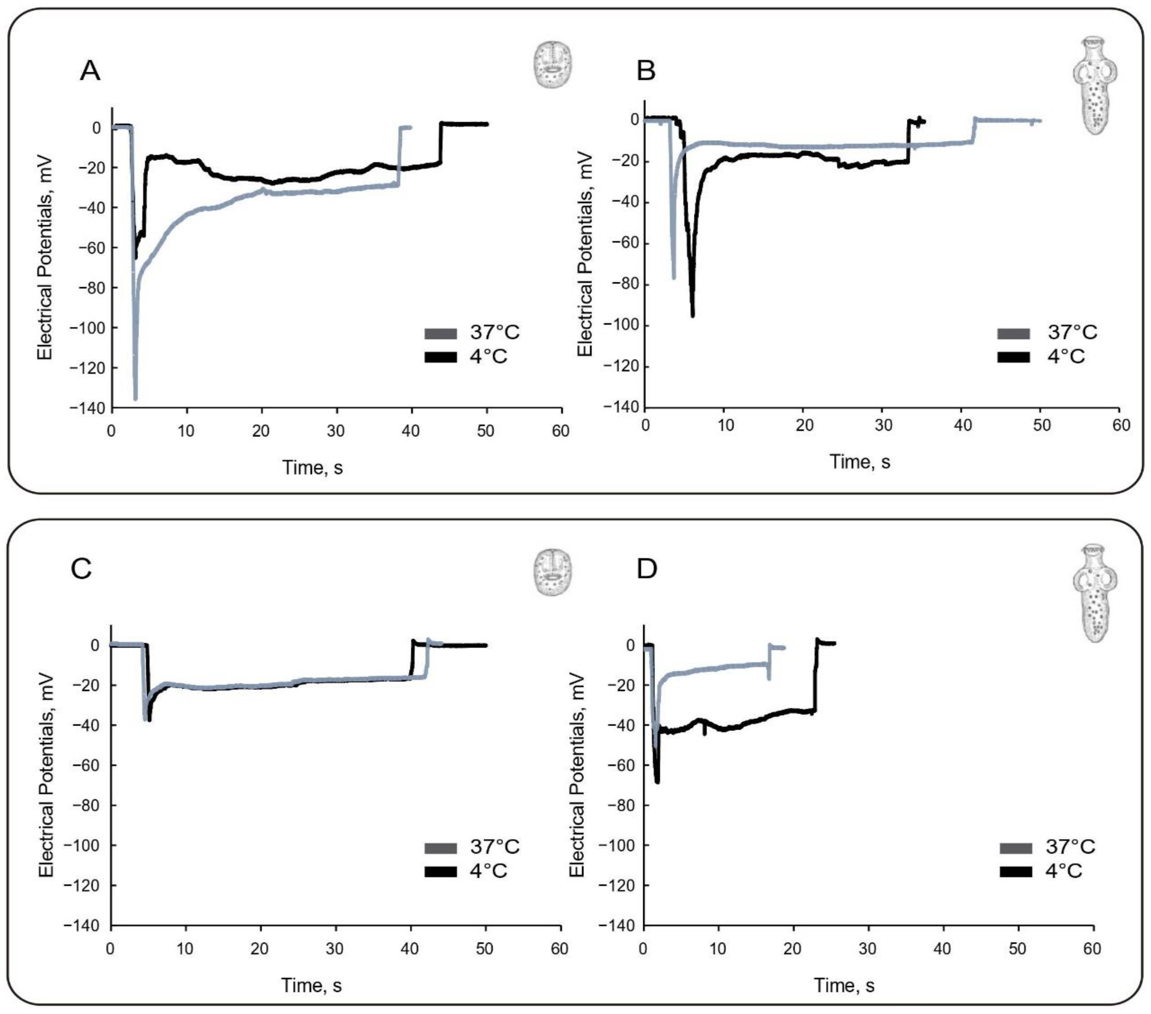 Tropicalmed 08 00303 g002 Tropicalmed 08 00303 g002