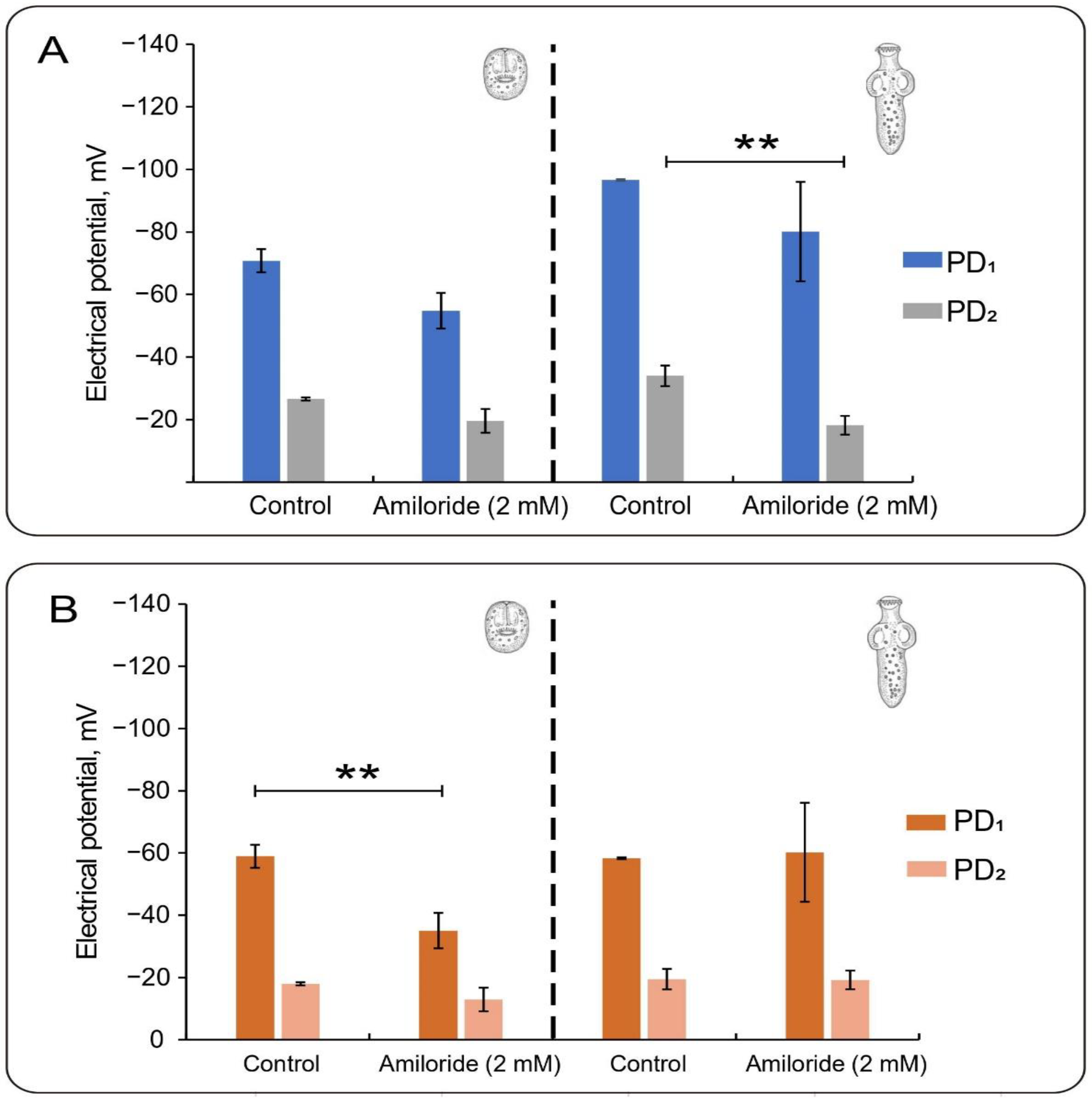 Tropicalmed 08 00303 g004 Tropicalmed 08 00303 g004