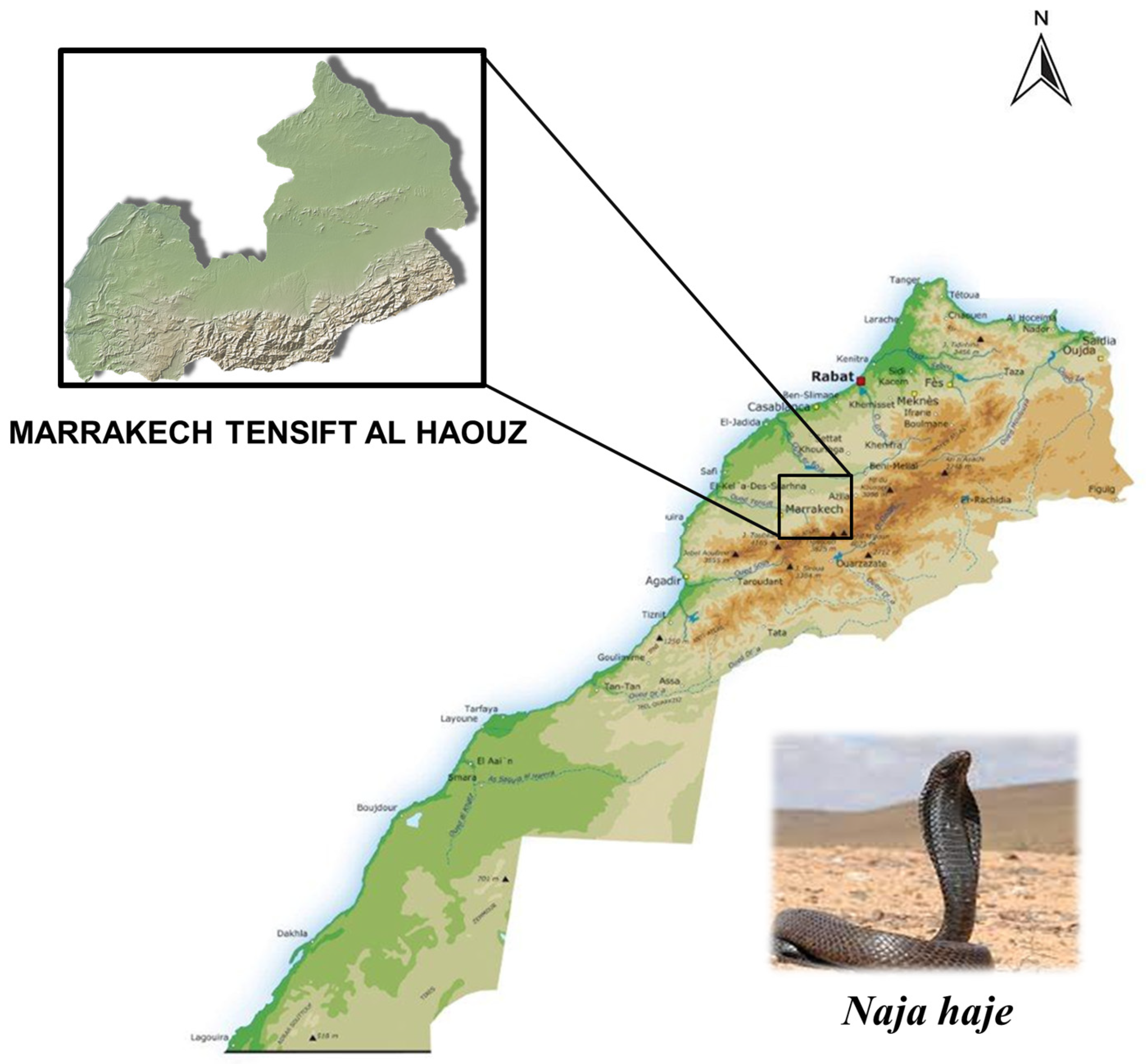 Tropicalmed 08 00304 g001 Tropicalmed 08 00304 g001