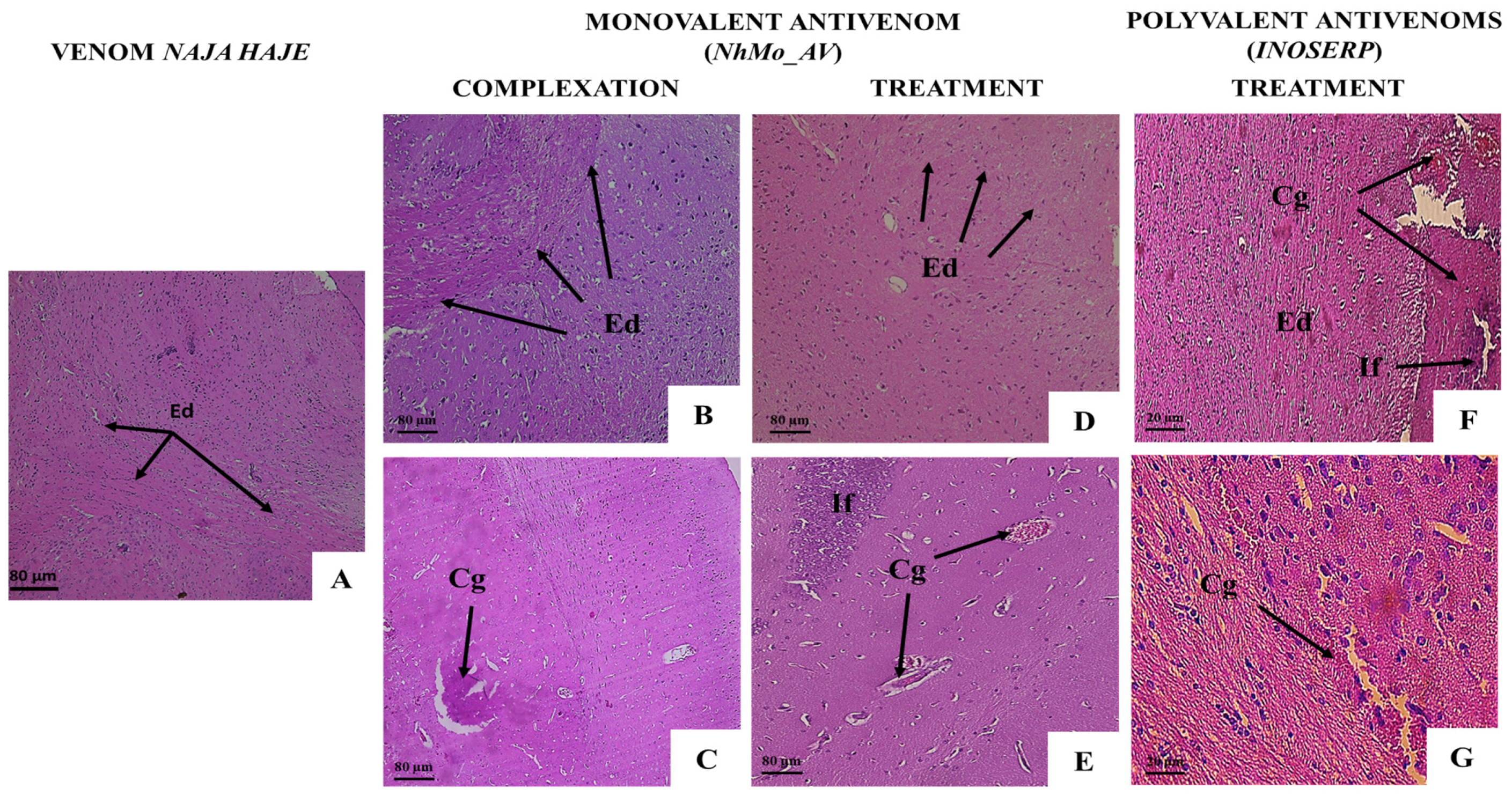 Tropicalmed 08 00304 g009 Tropicalmed 08 00304 g009