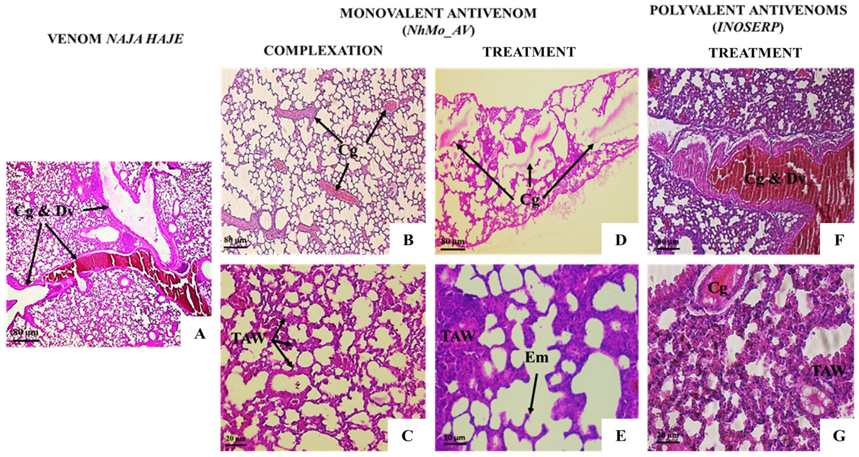 Tropicalmed 08 00304 g011 Tropicalmed 08 00304 g011