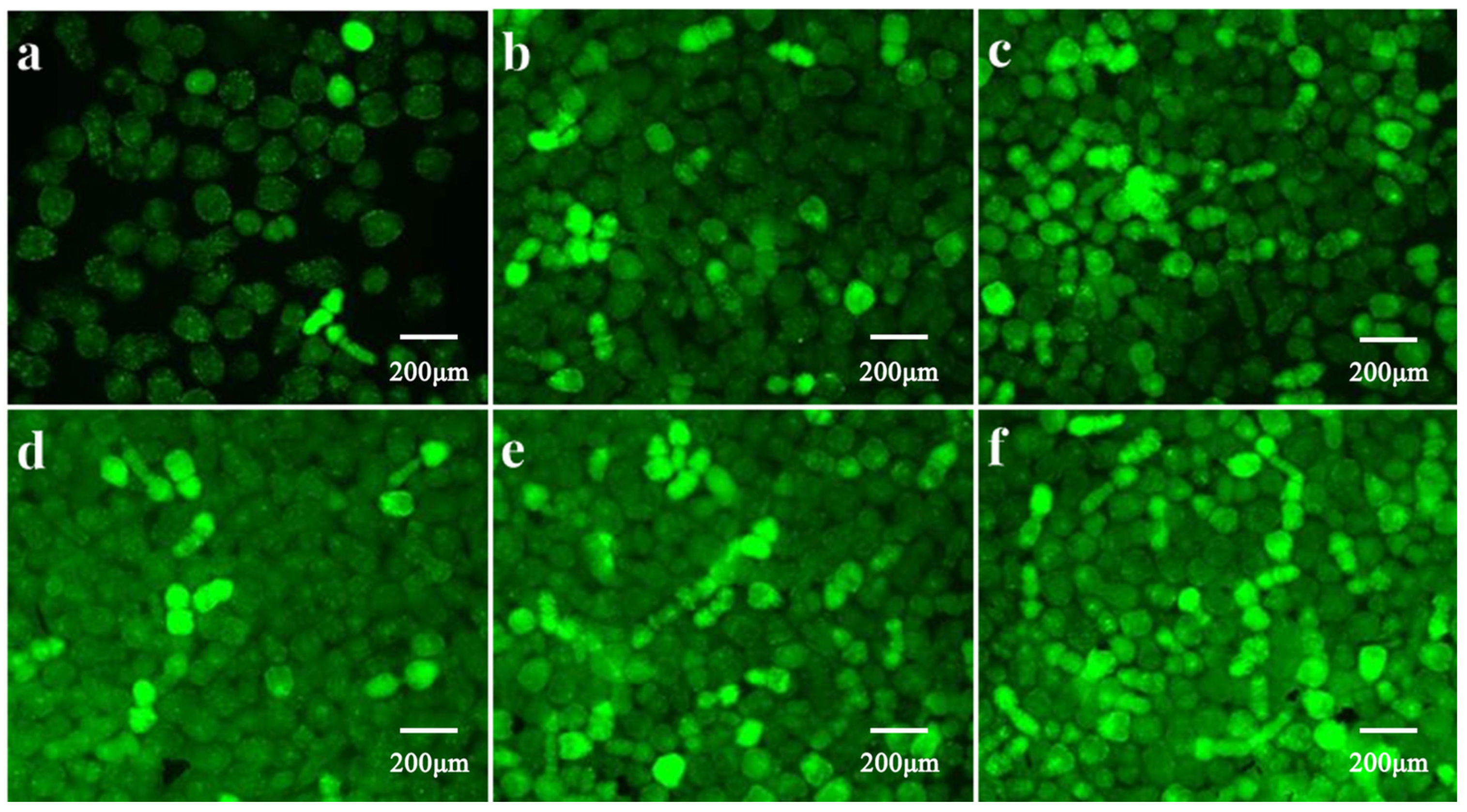 Tropicalmed 08 00306 g004 Tropicalmed 08 00306 g004