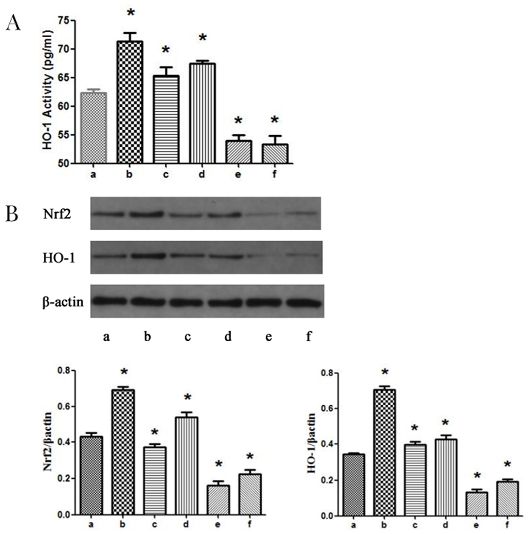Tropicalmed 08 00306 g005 Tropicalmed 08 00306 g005