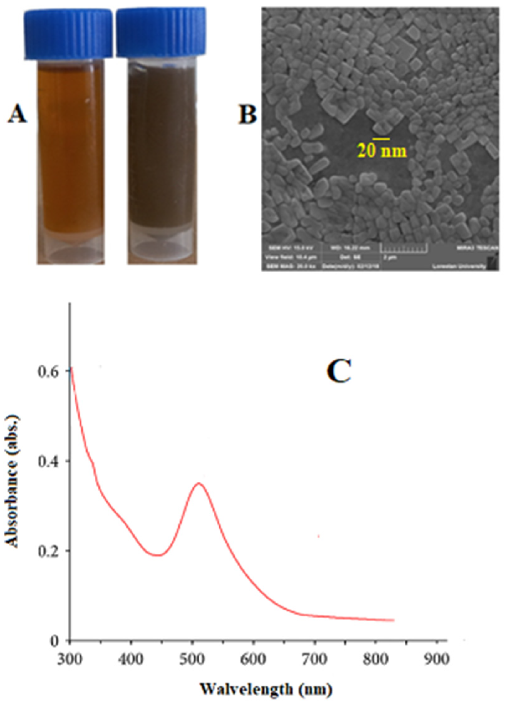 Tropicalmed 08 00313 g001 Tropicalmed 08 00313 g001