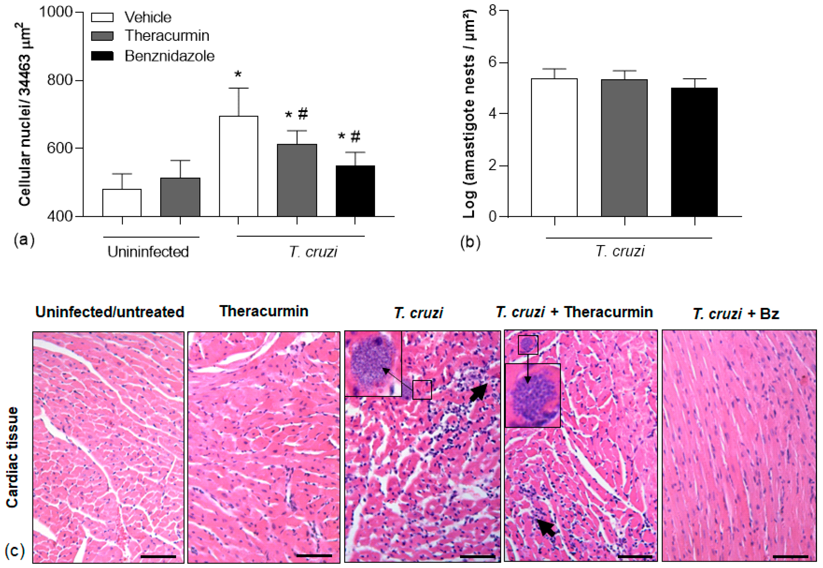 Tropicalmed 08 00343 g005