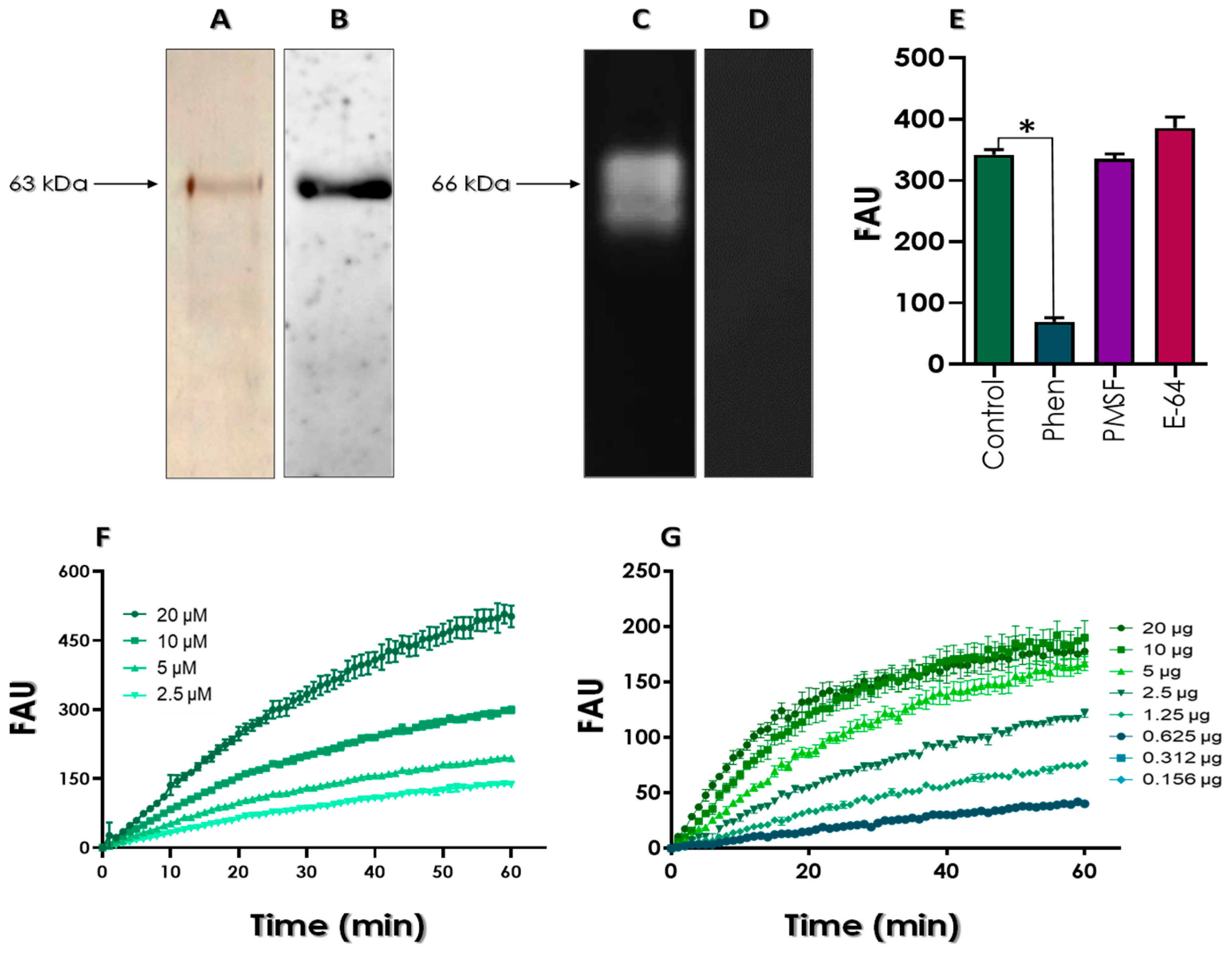 Tropicalmed 08 00348 g003 Tropicalmed 08 00348 g003