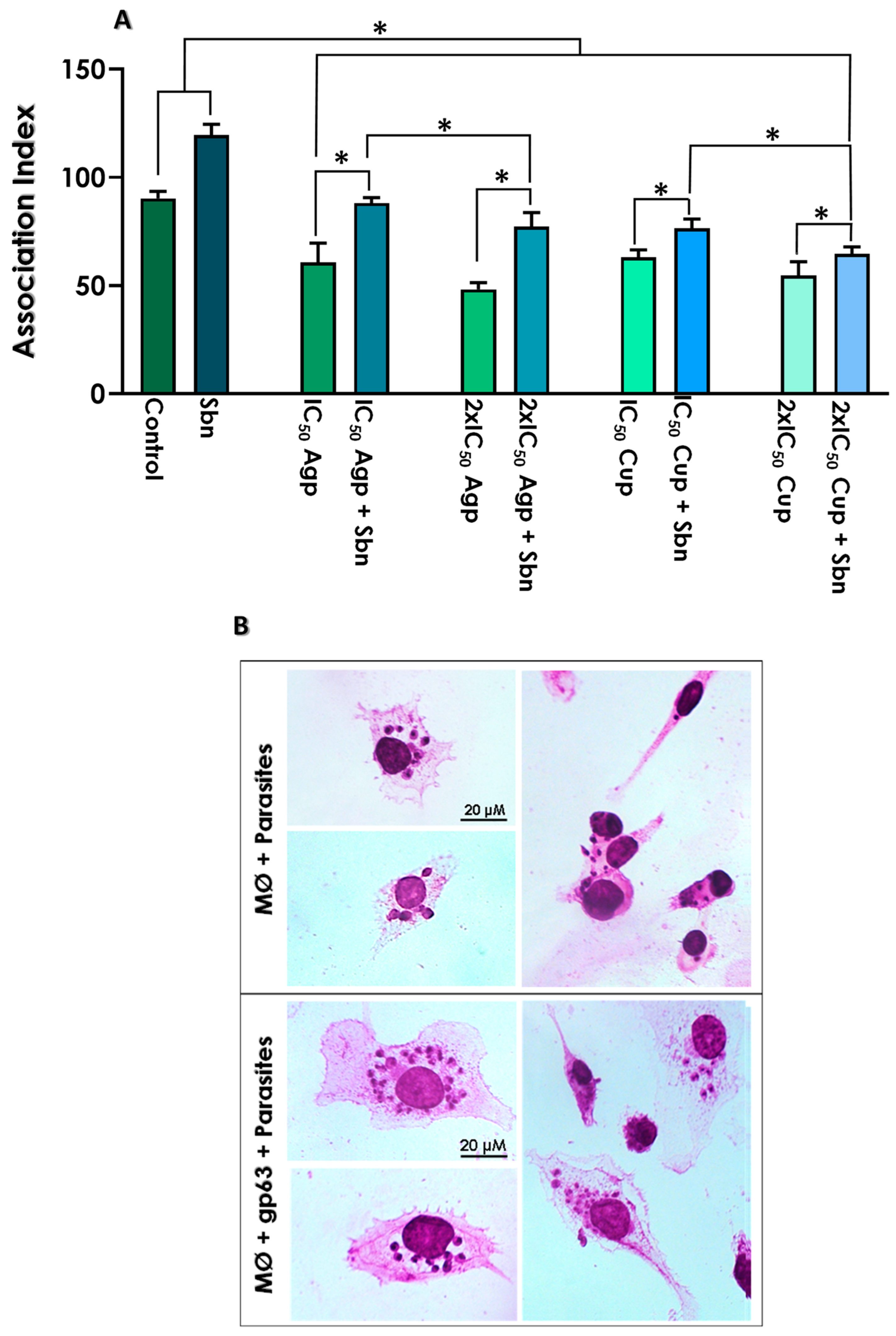 Tropicalmed 08 00348 g007 Tropicalmed 08 00348 g007