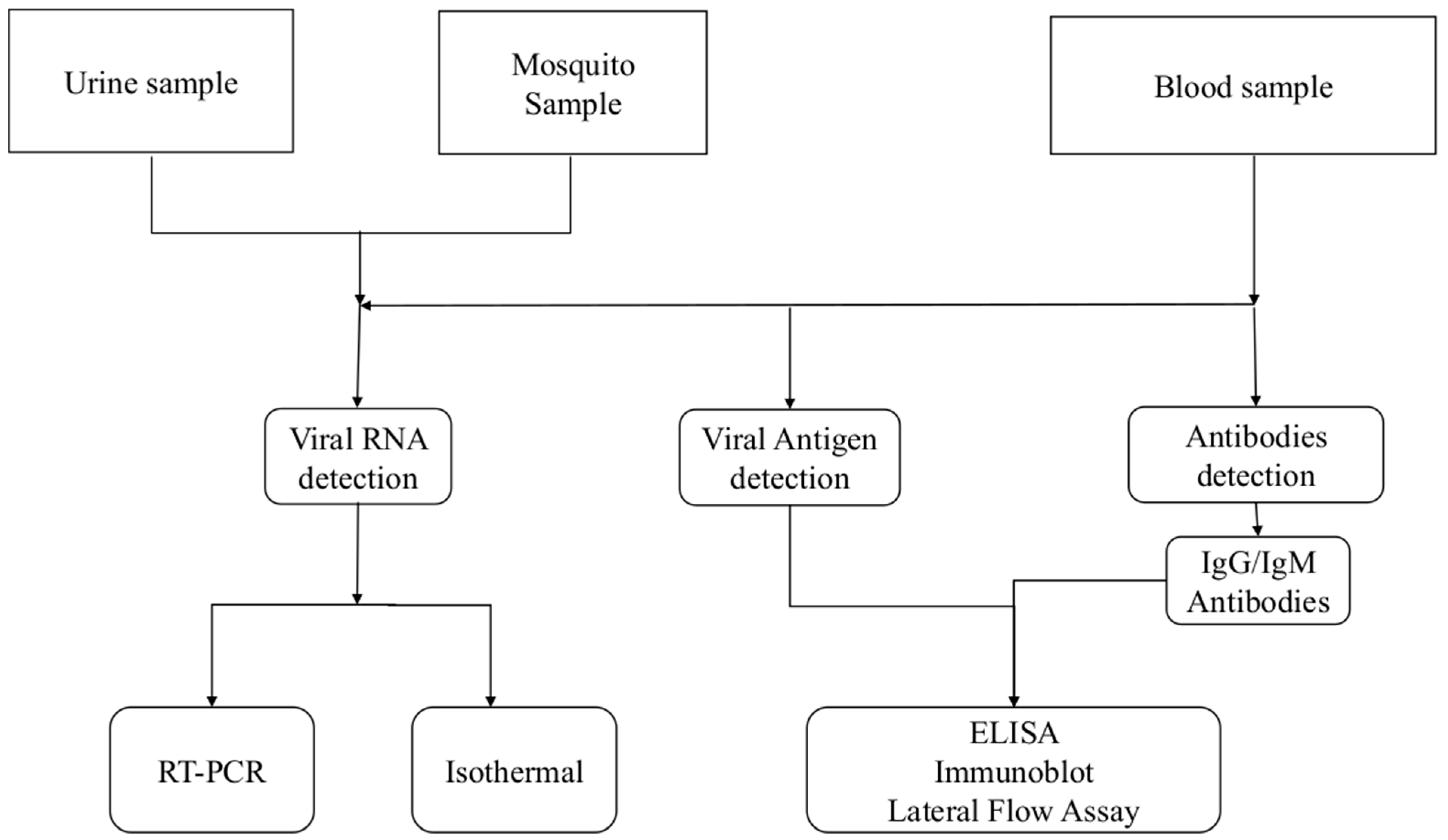 Tropicalmed 08 00365 g002