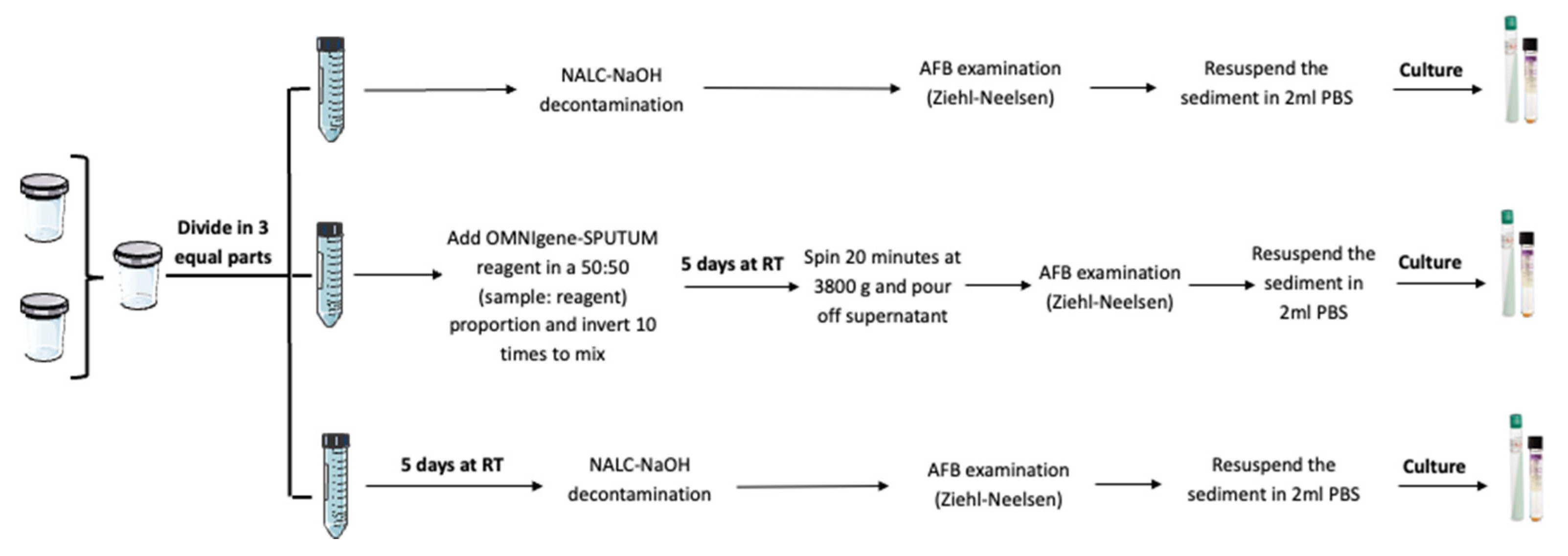 Tropicalmed 08 00367 g001 Tropicalmed 08 00367 g001