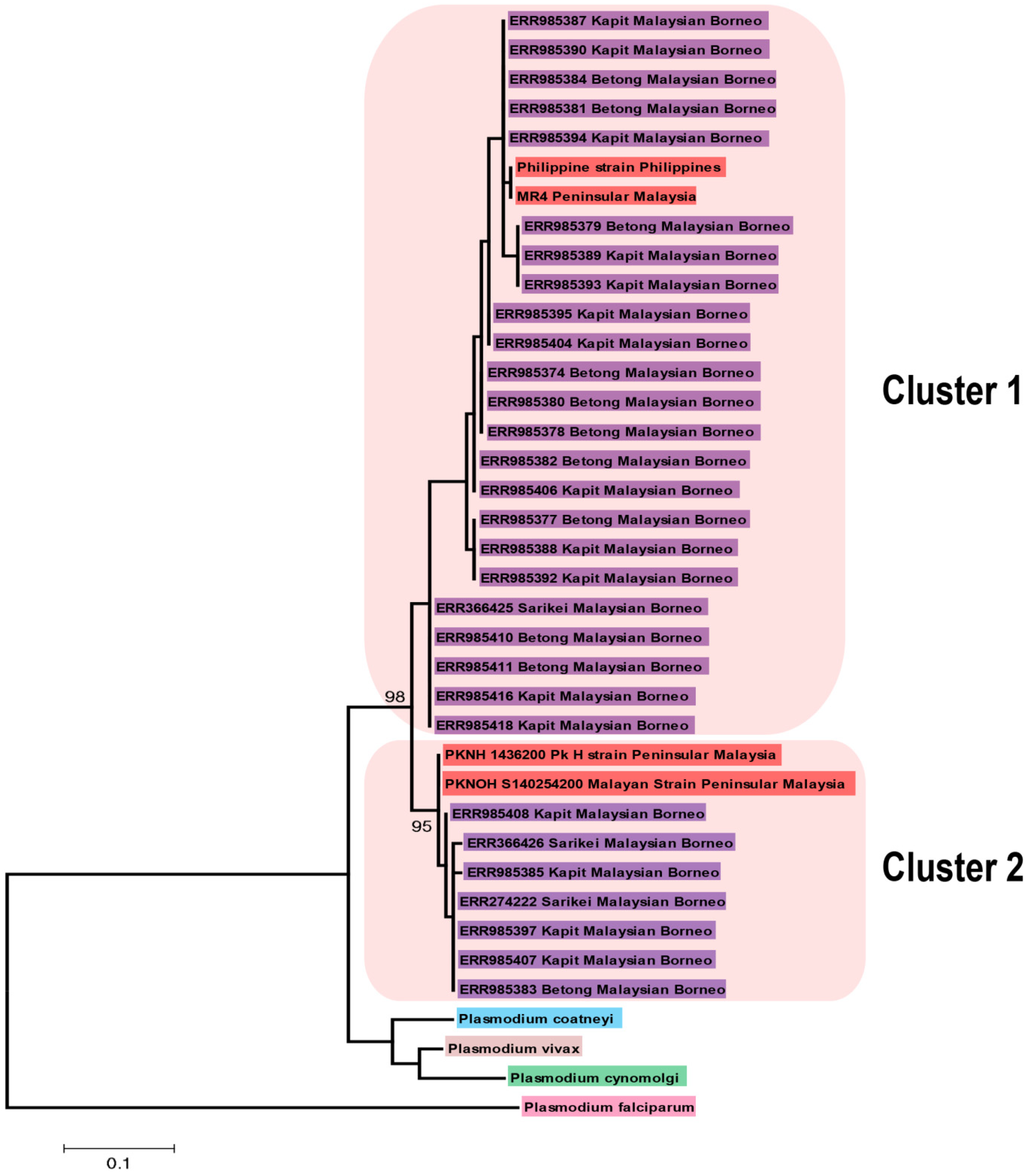 Tropicalmed 08 00380 g002 Tropicalmed 08 00380 g002