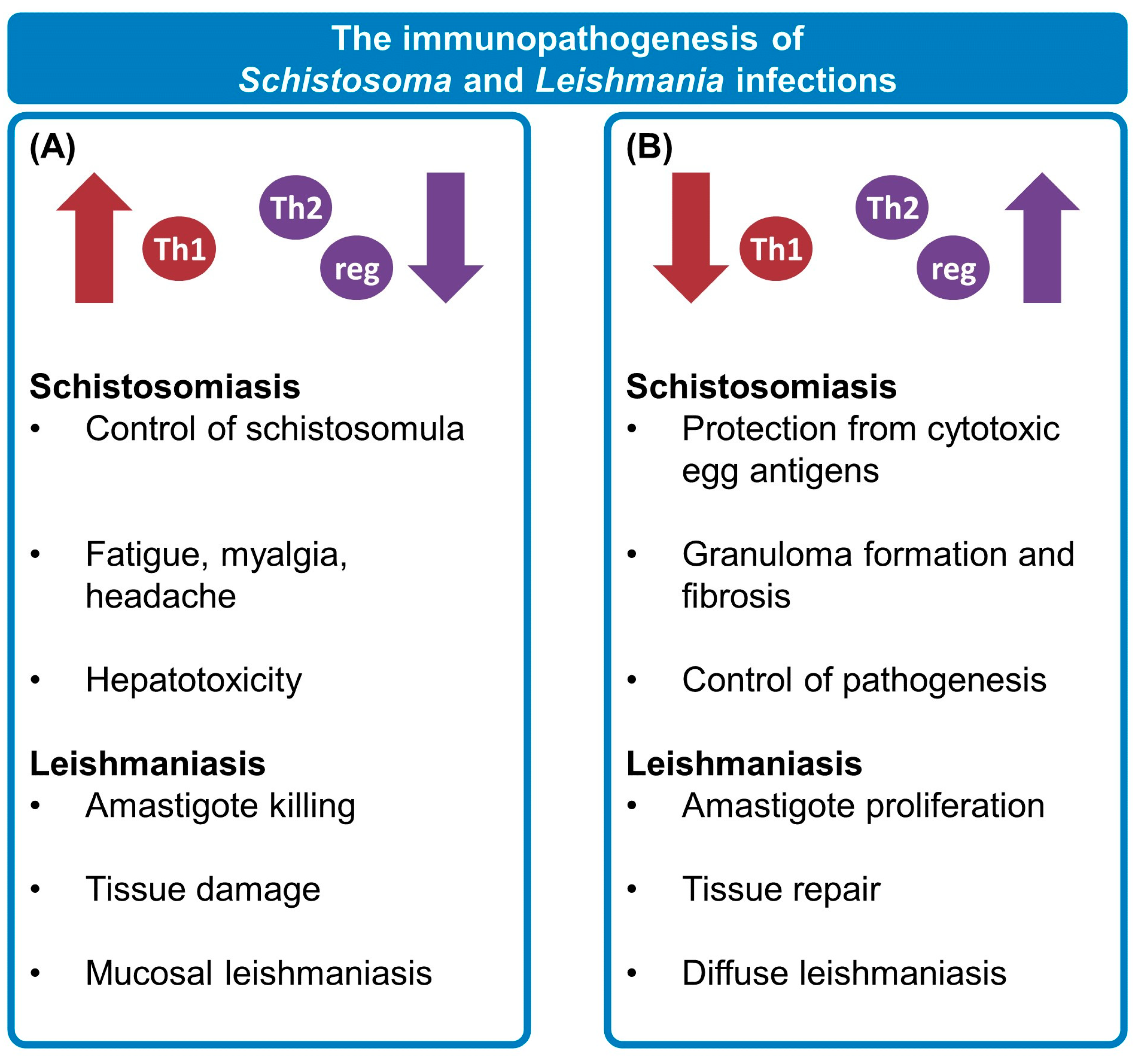 Tropicalmed 08 00383 g001