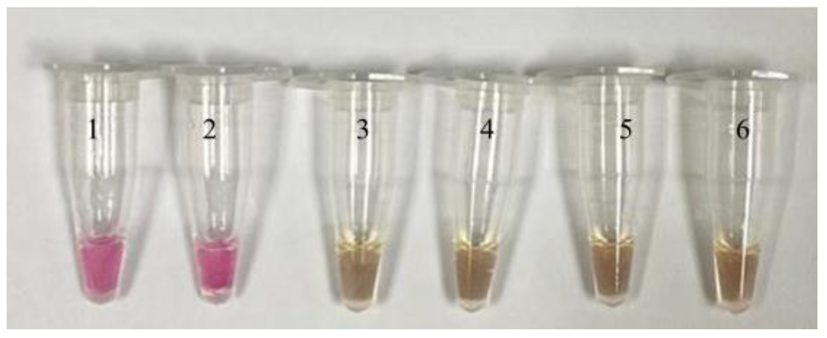 Tropicalmed 08 00389 g003