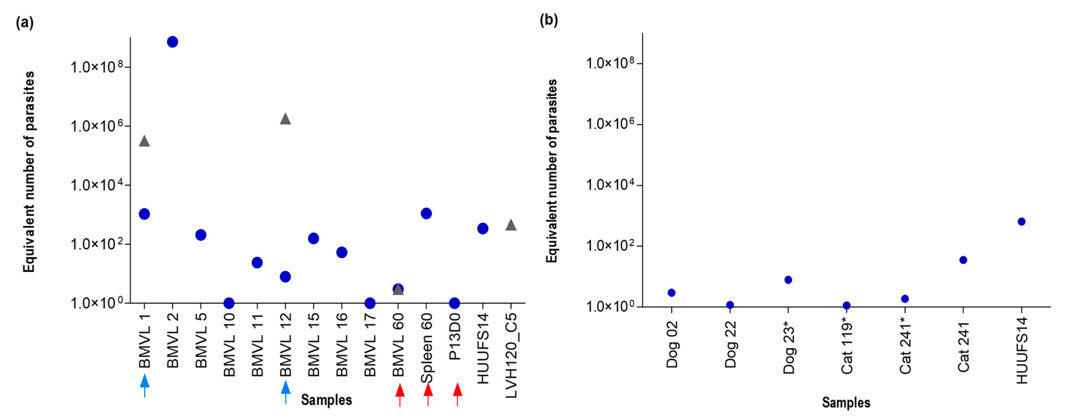 Tropicalmed 08 00405 g007