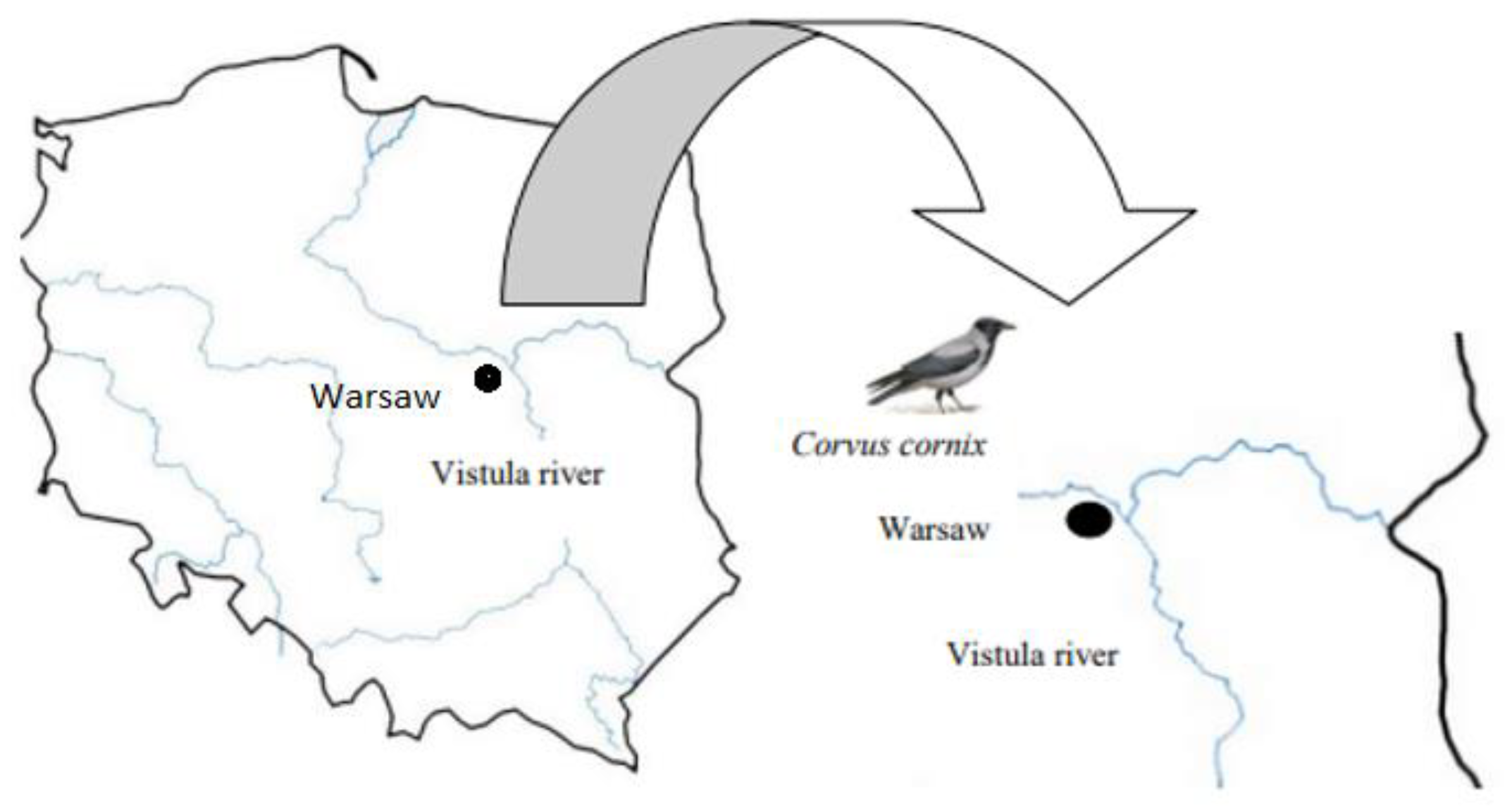 Tropicalmed 08 00417 g001