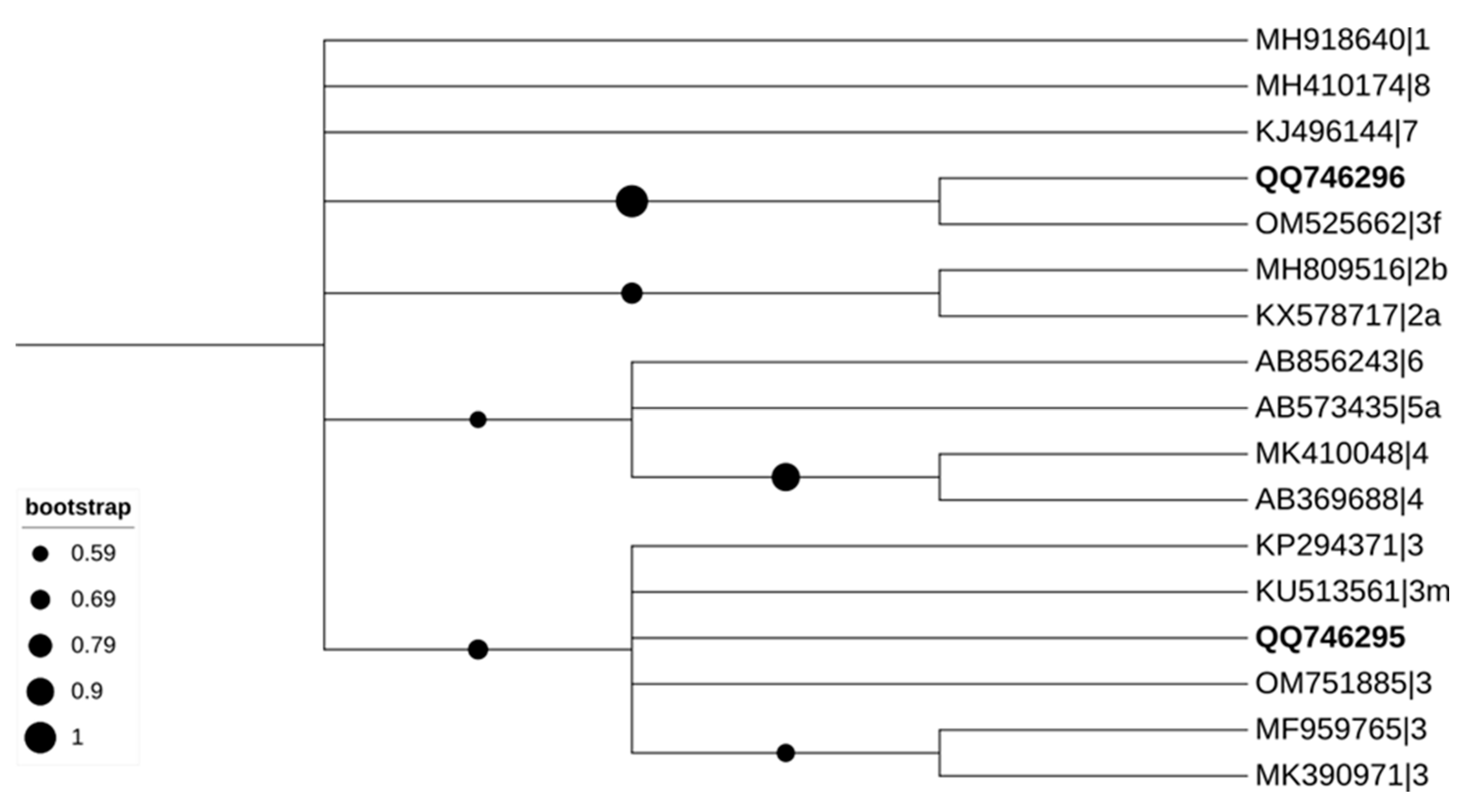 Tropicalmed 08 00433 g003